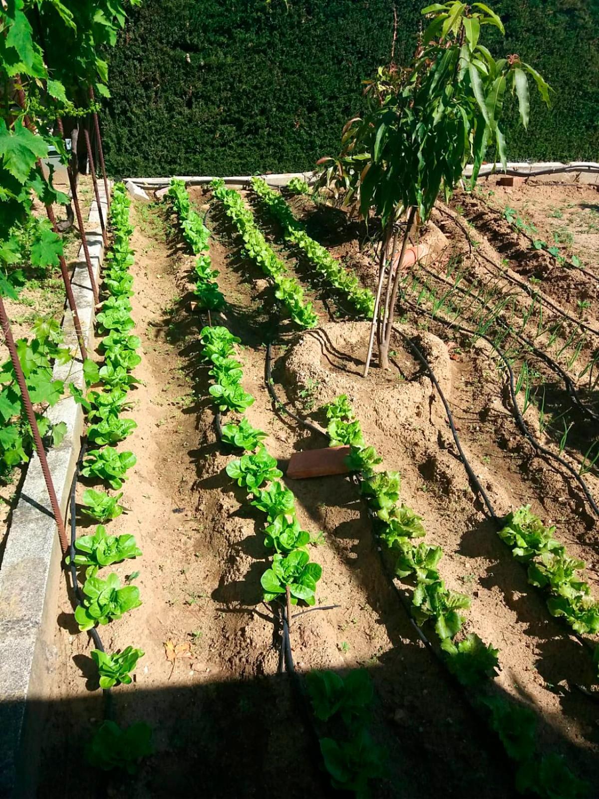 Finquilla Caromar