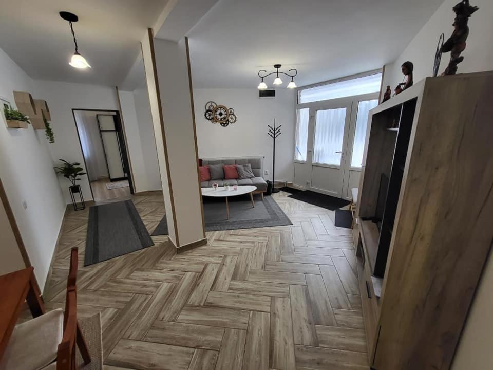 Casa 115 Toplița view 3