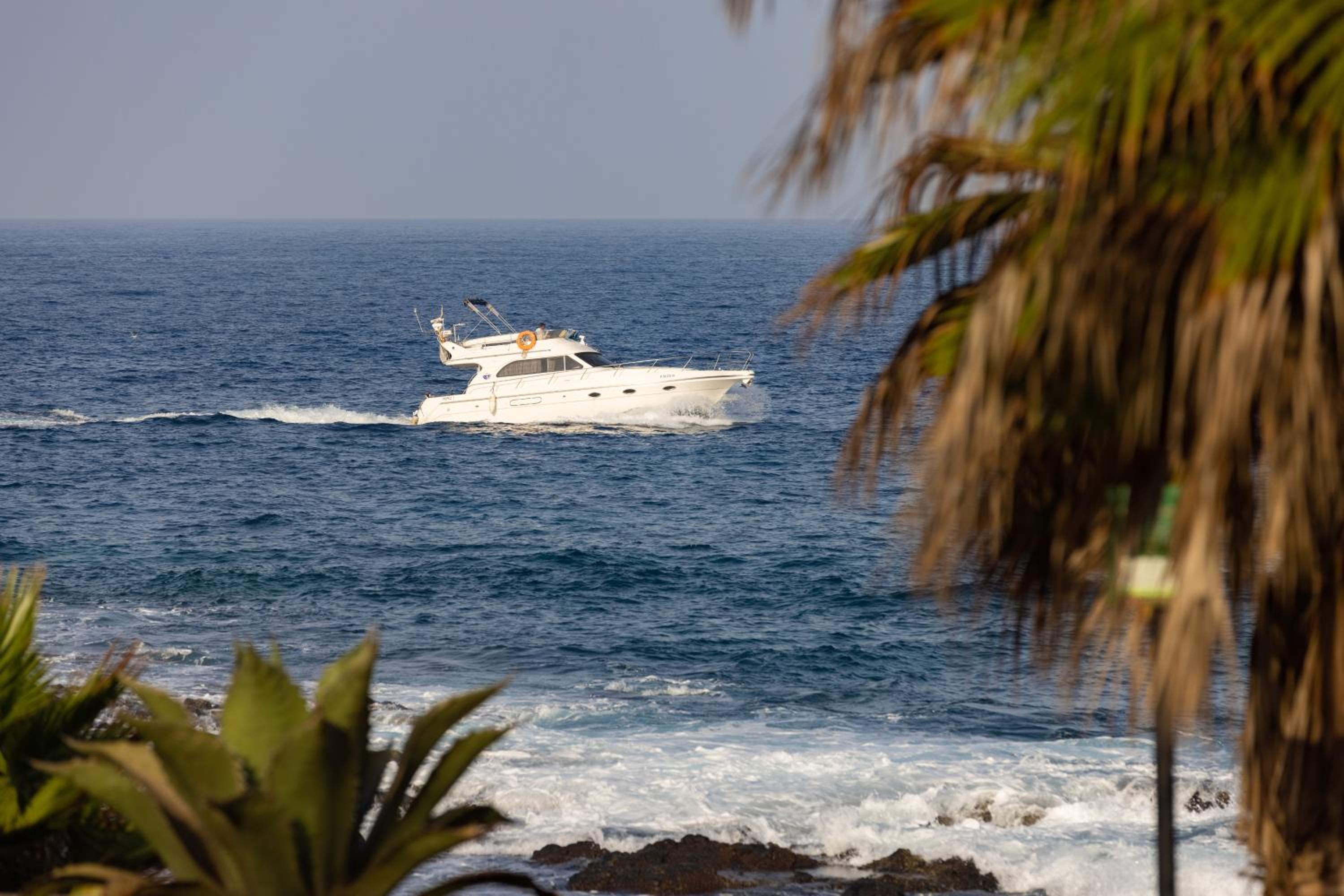 Villa Palm Mar view 3
