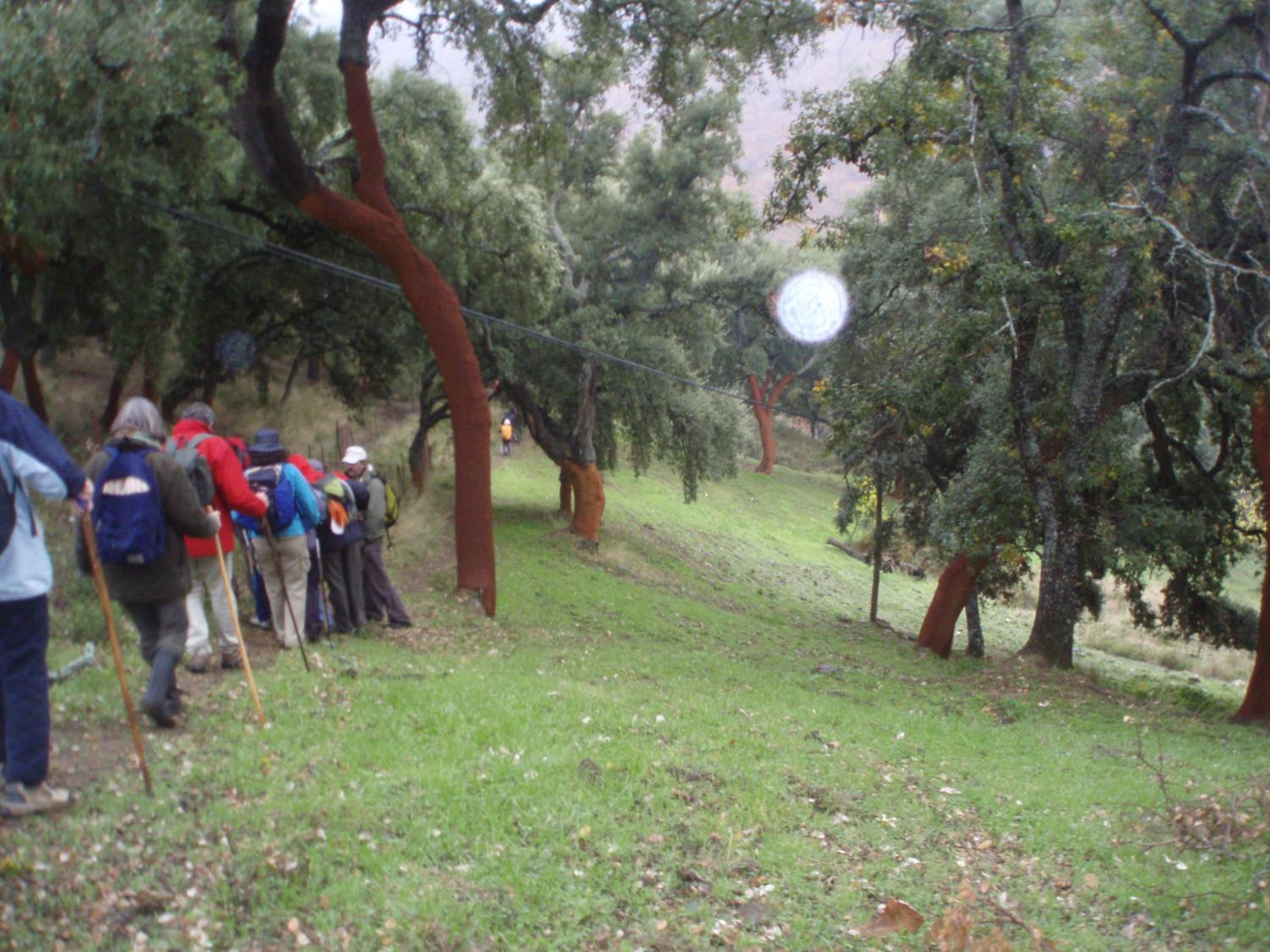 Photo 42