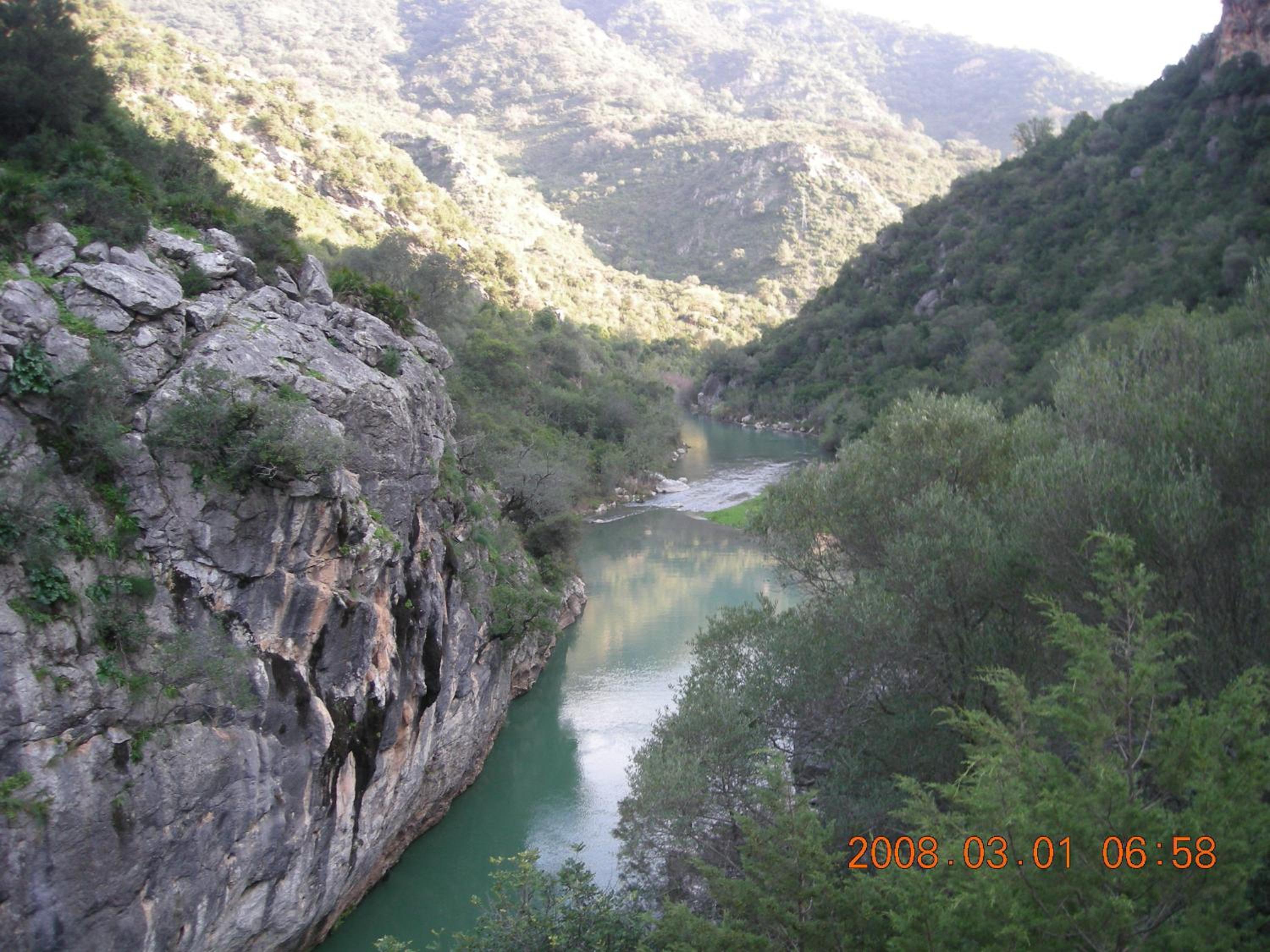 Photo 37