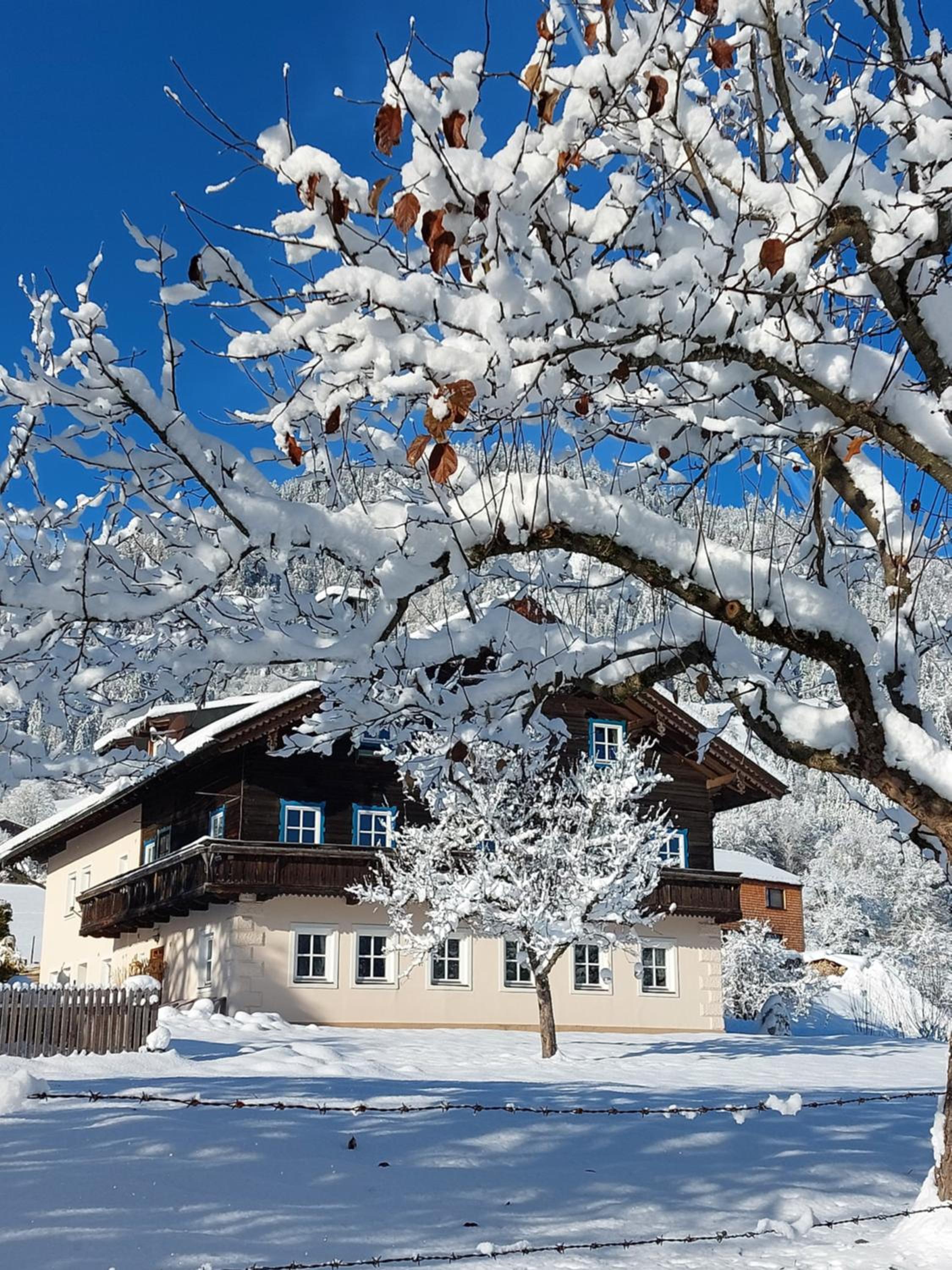 Hohlbichl Gut
