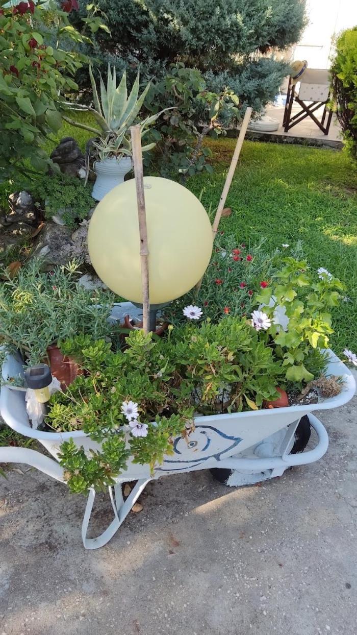 Photo 21