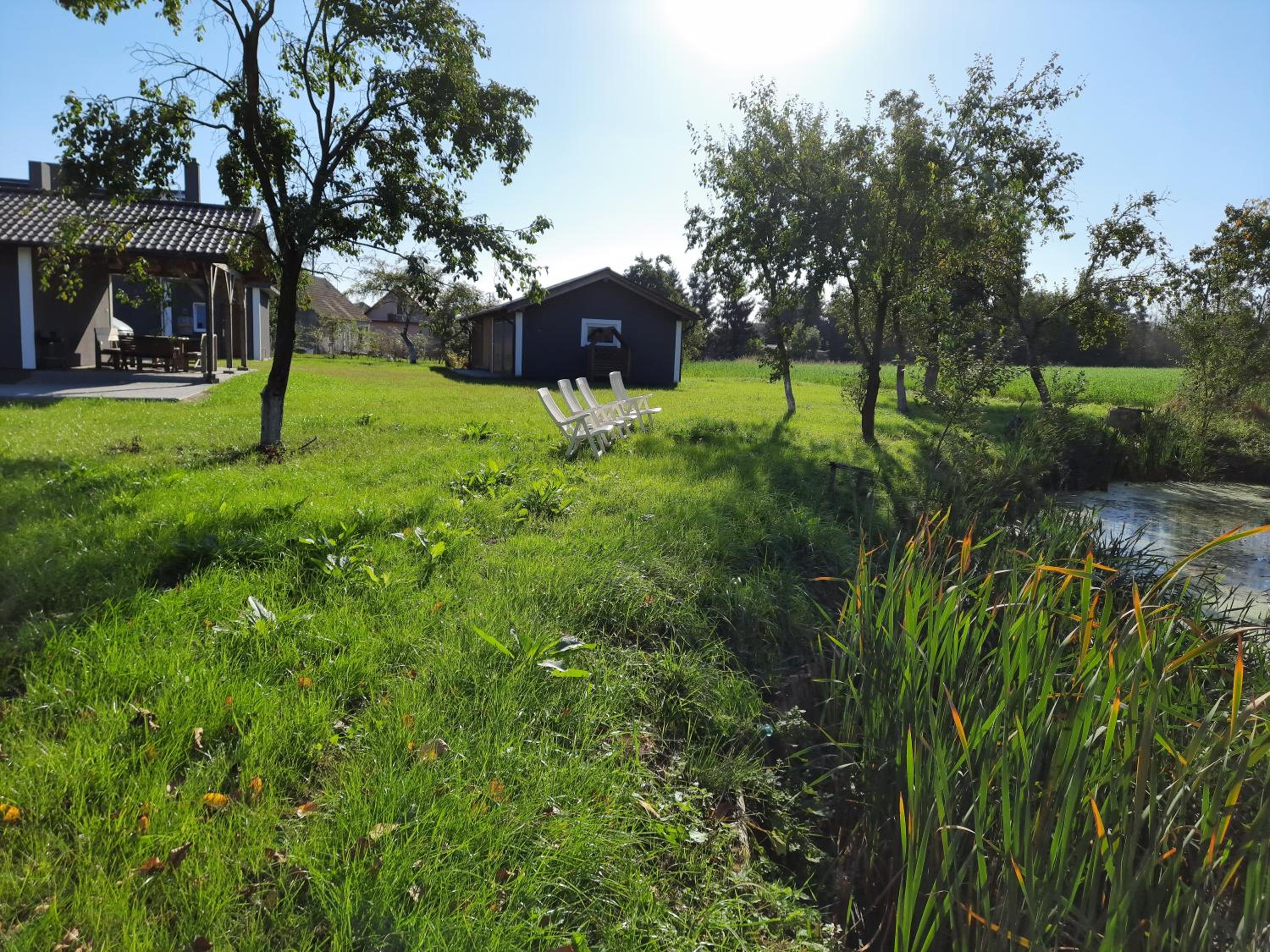 Photo 43