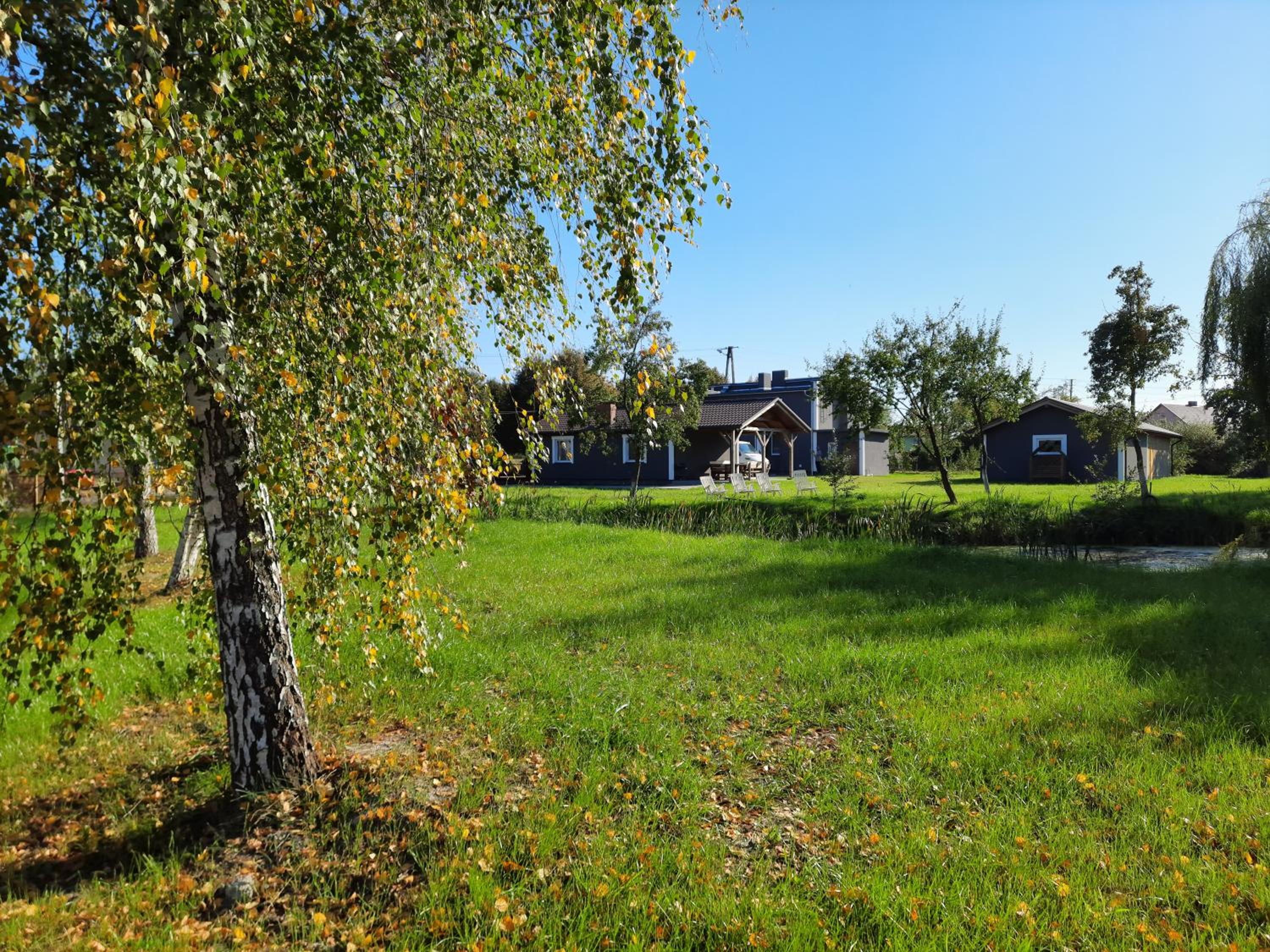 Photo 42