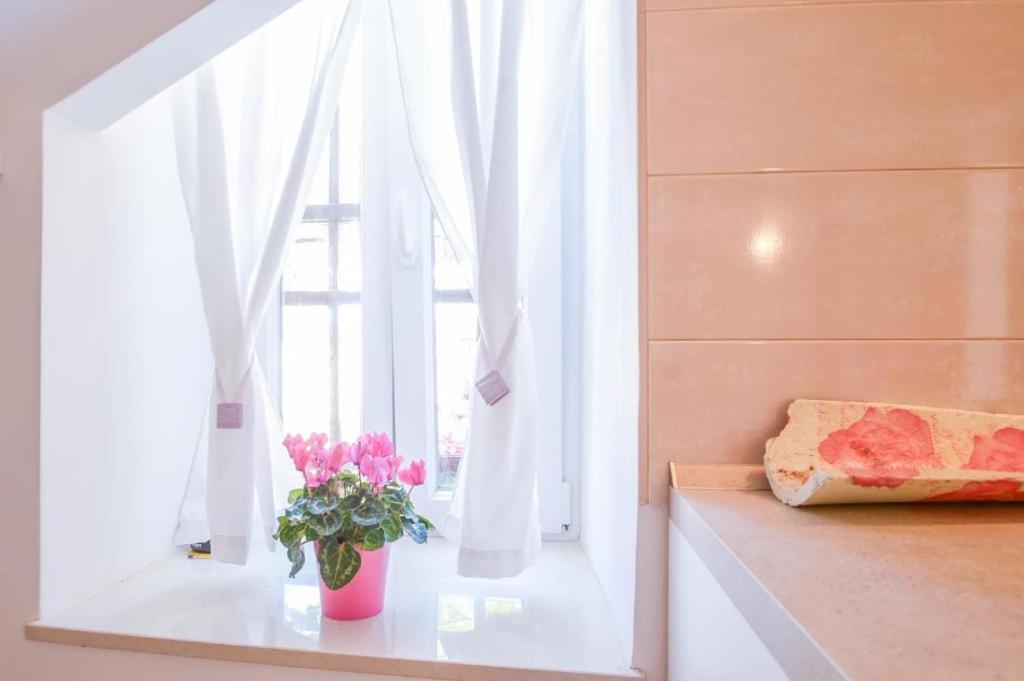 Apartman Ivano view 4