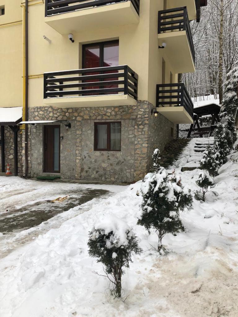 Apartament Nicolle