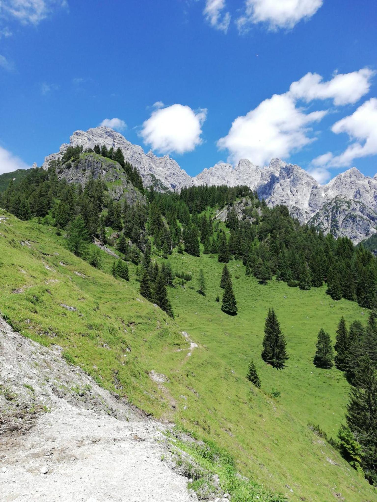 Ferienwohnung Fernblick