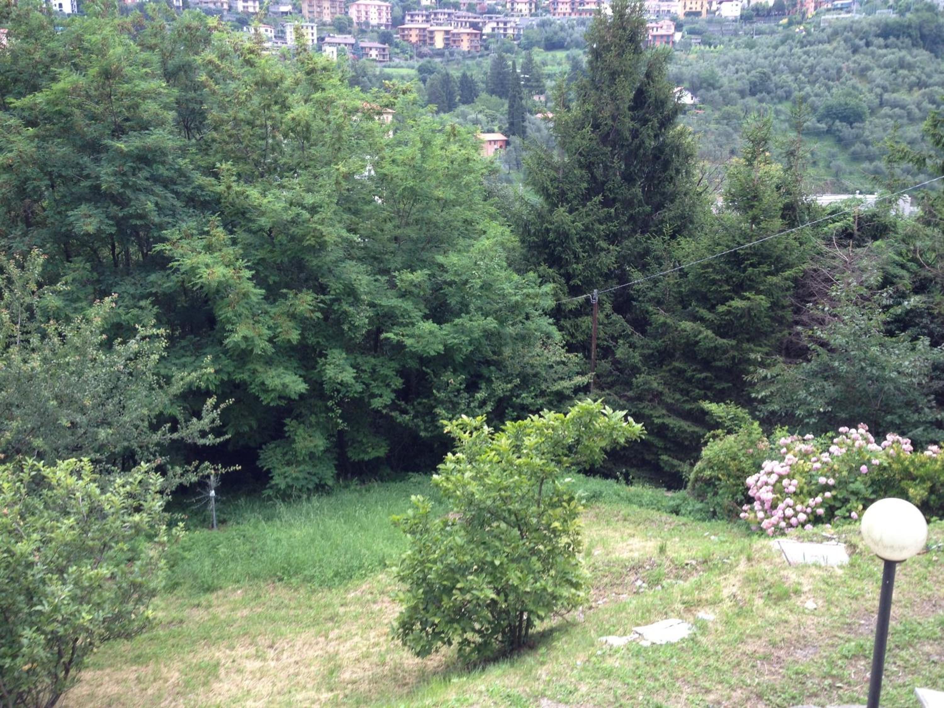 Photo 31