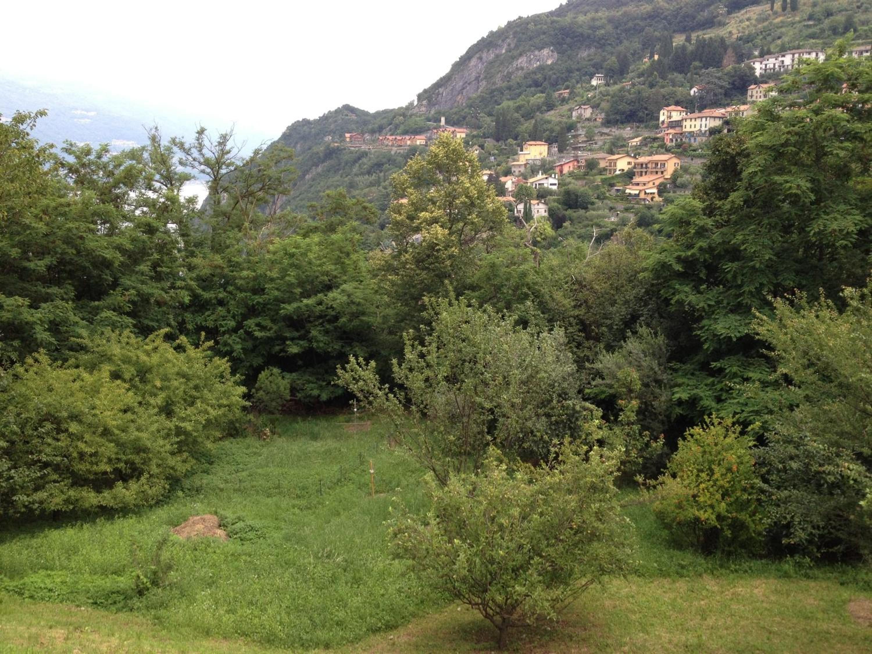 Photo 44