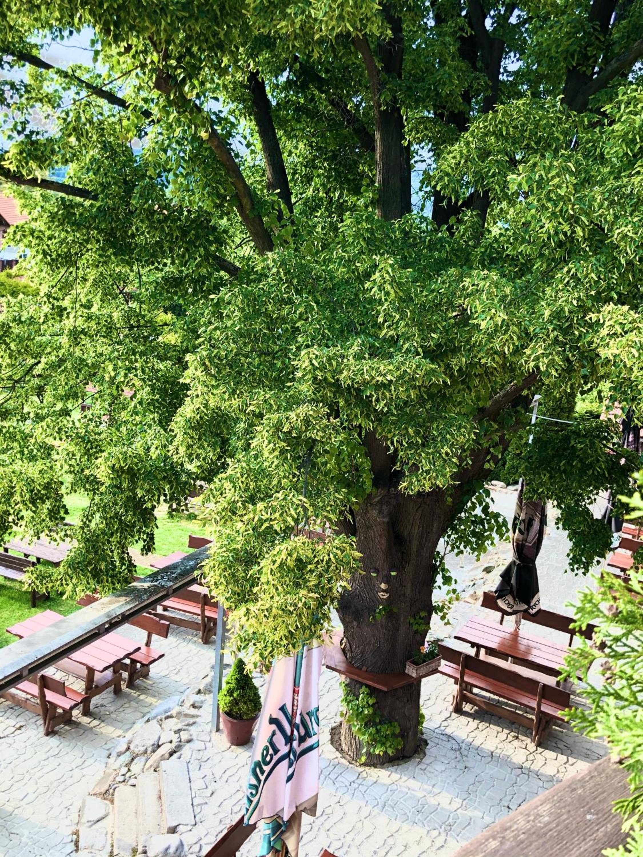Hotel Penzion Trámky