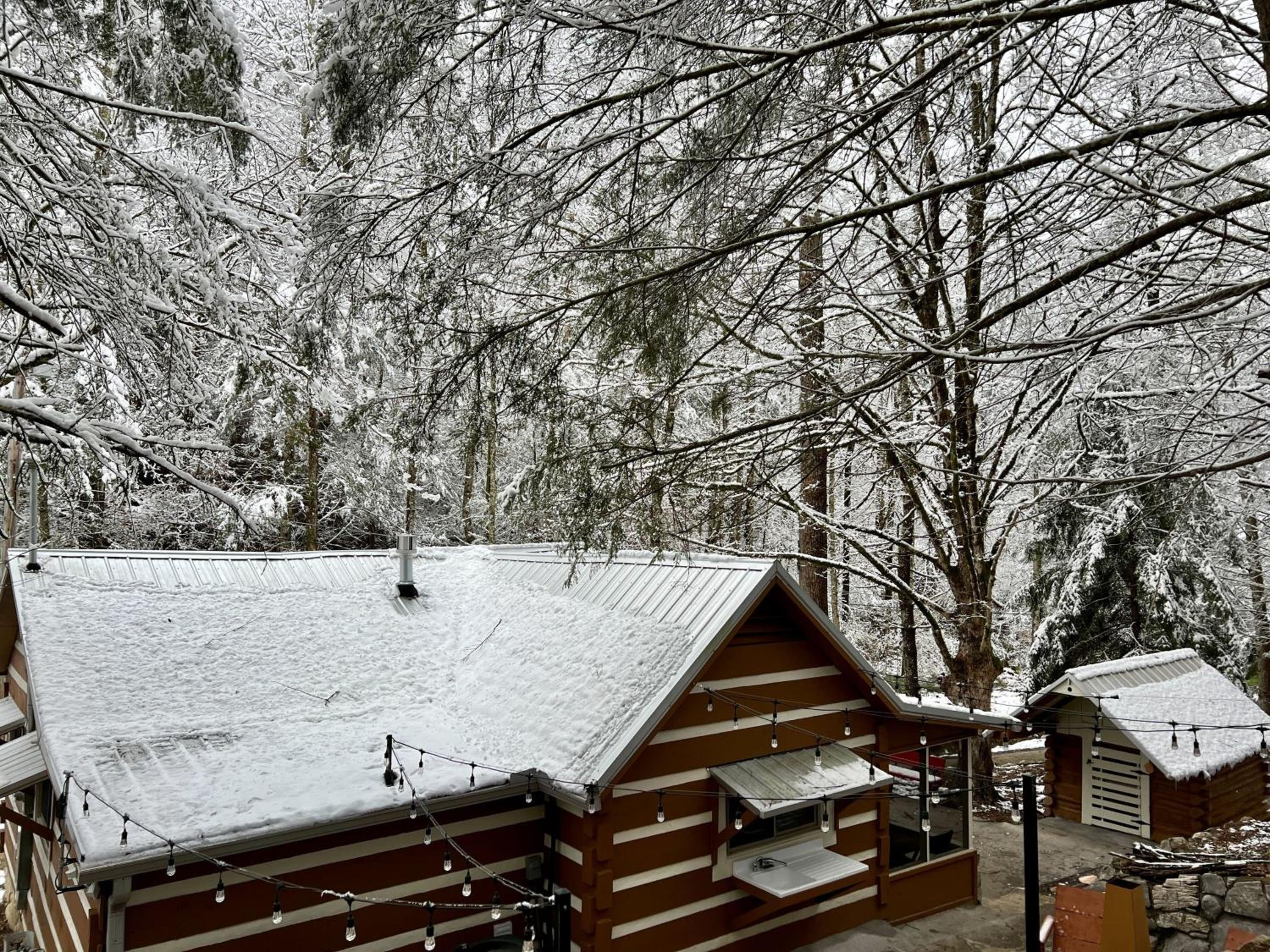 Beary Relaxing Cabin - Rustic with Outdoor Patio view 2