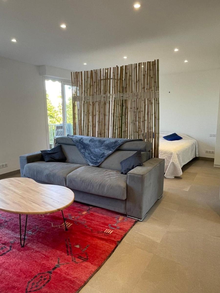 BnB Renting Le Cèdre spacious studio in Cannes with a balcony WIFI and AC photo 5