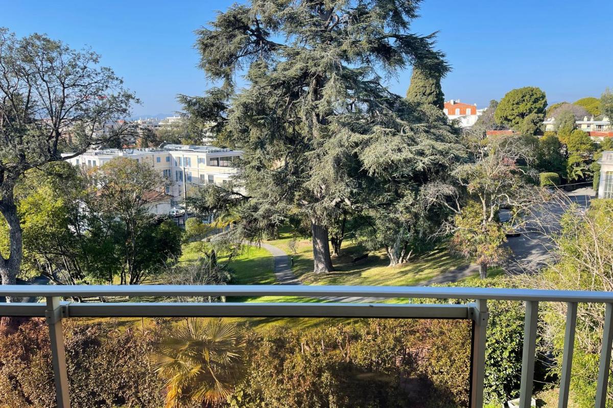 BnB Renting Le Cèdre spacious studio in Cannes with a balcony WIFI and AC photo 1