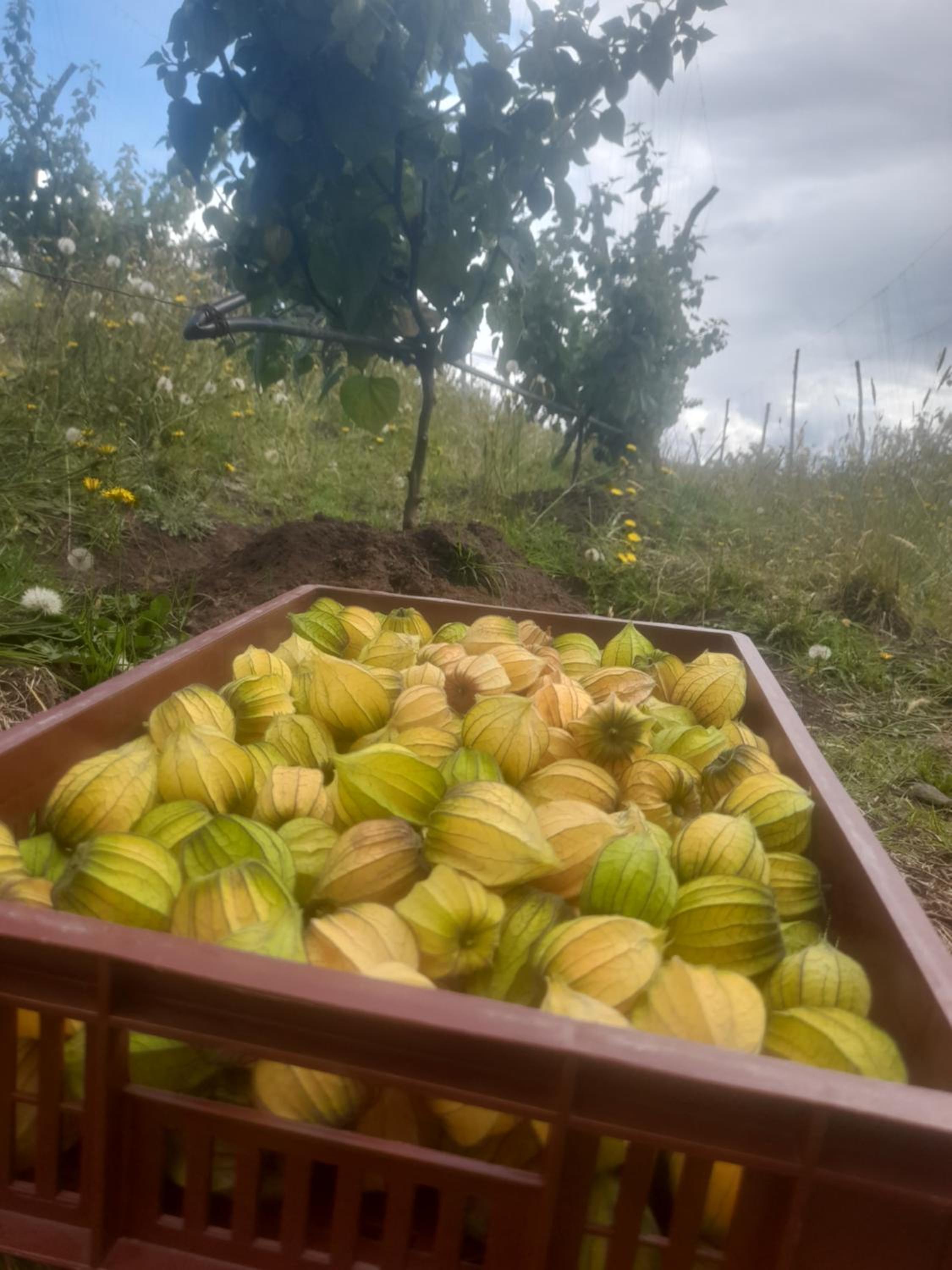 Maeponecoturismo
