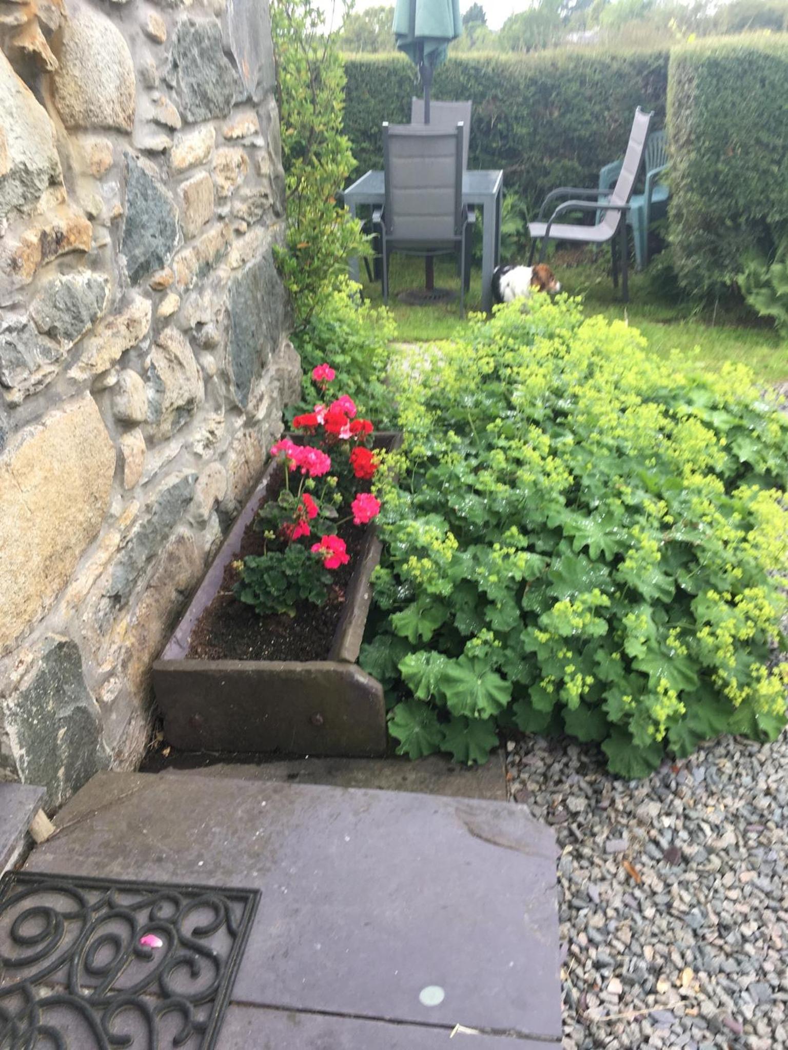 Photo 28