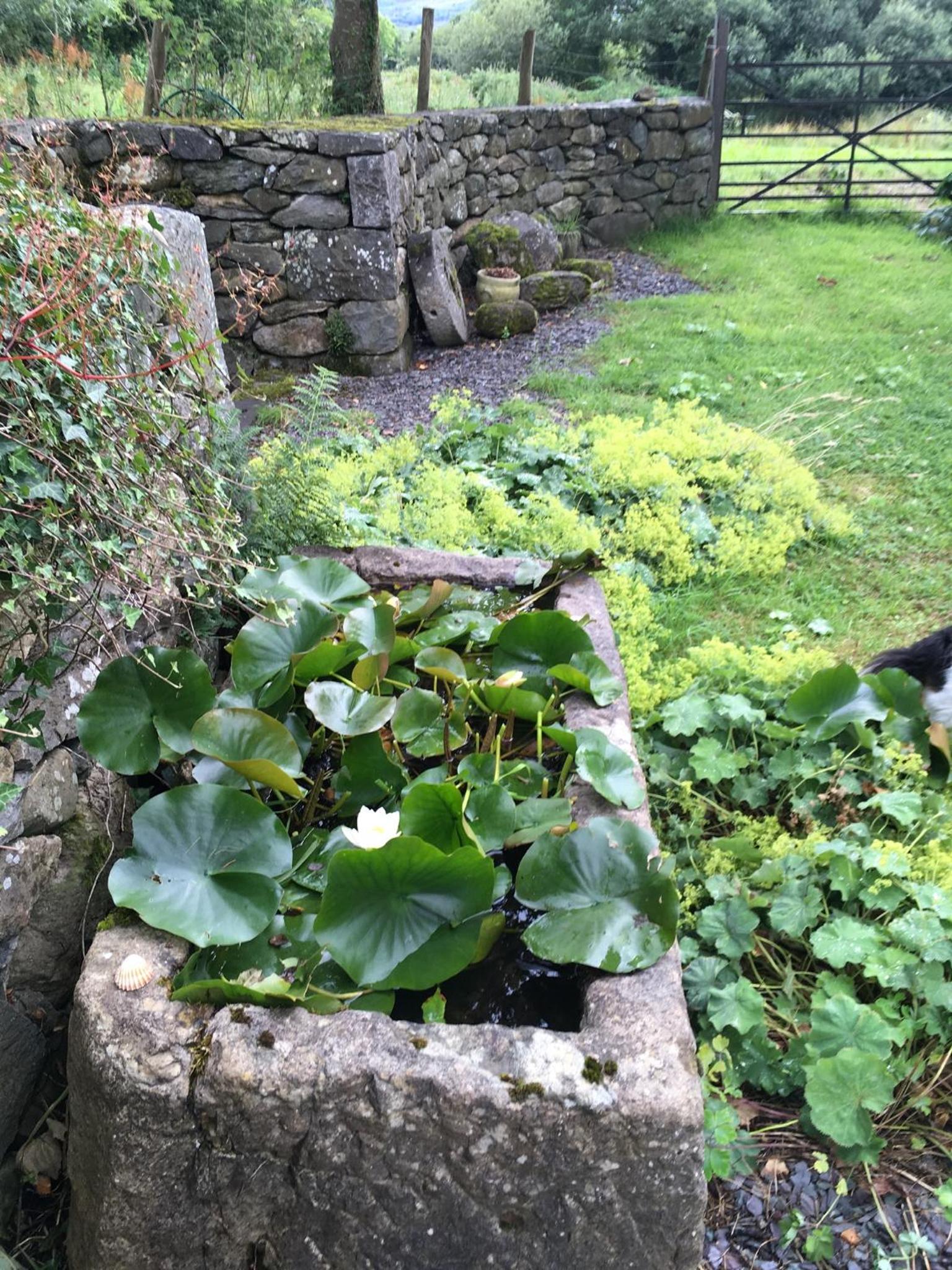 Photo 29
