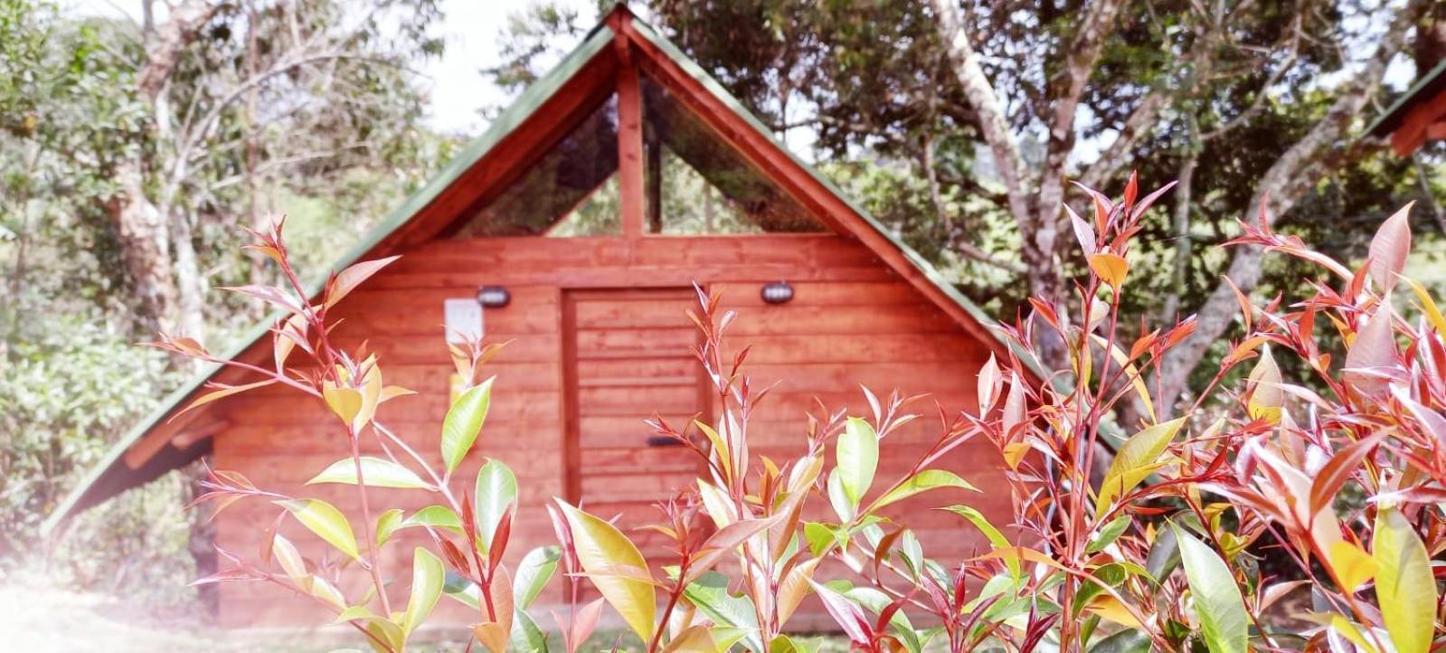 Hotel Glamping Rionegro- arrayanes