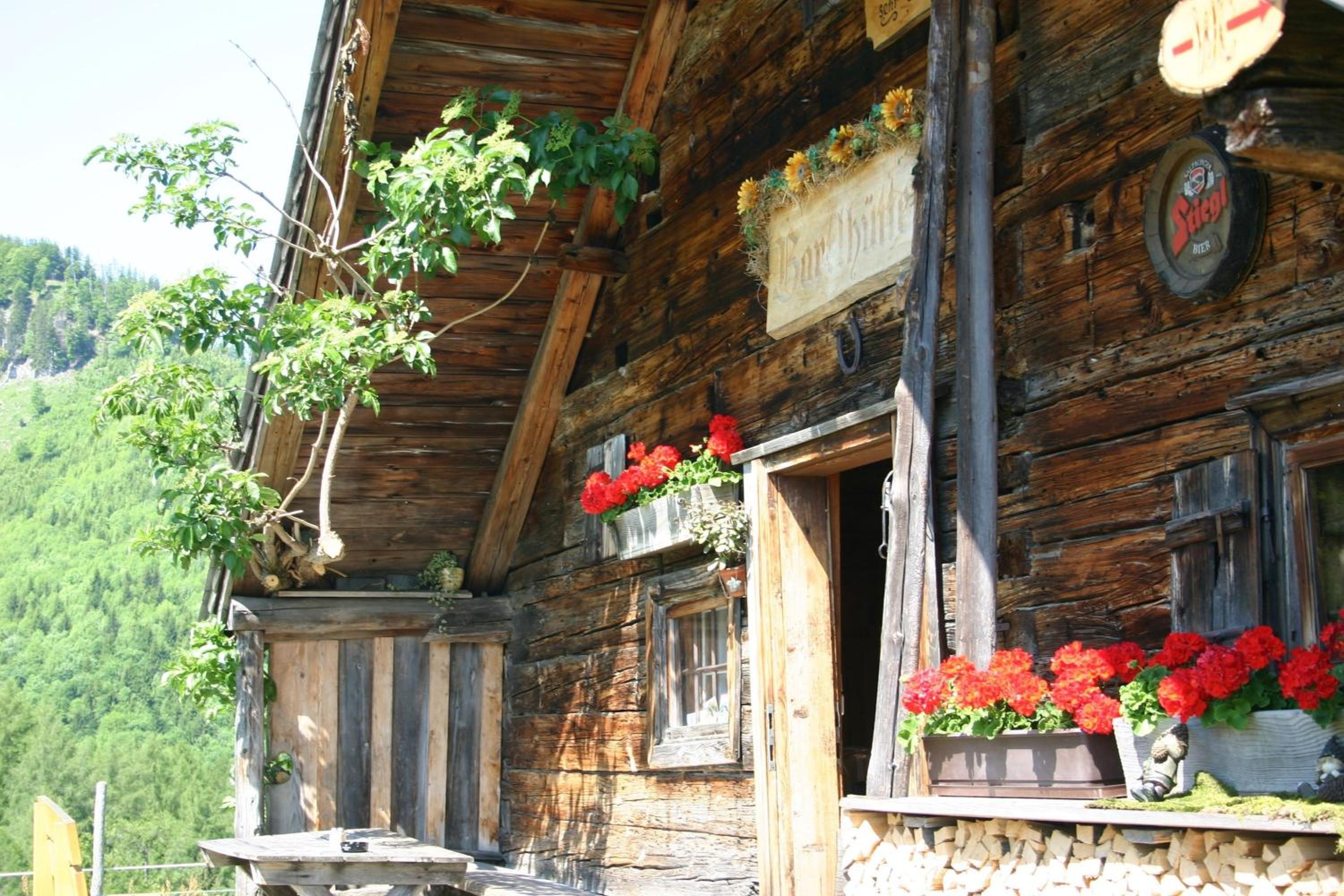 Photo 50