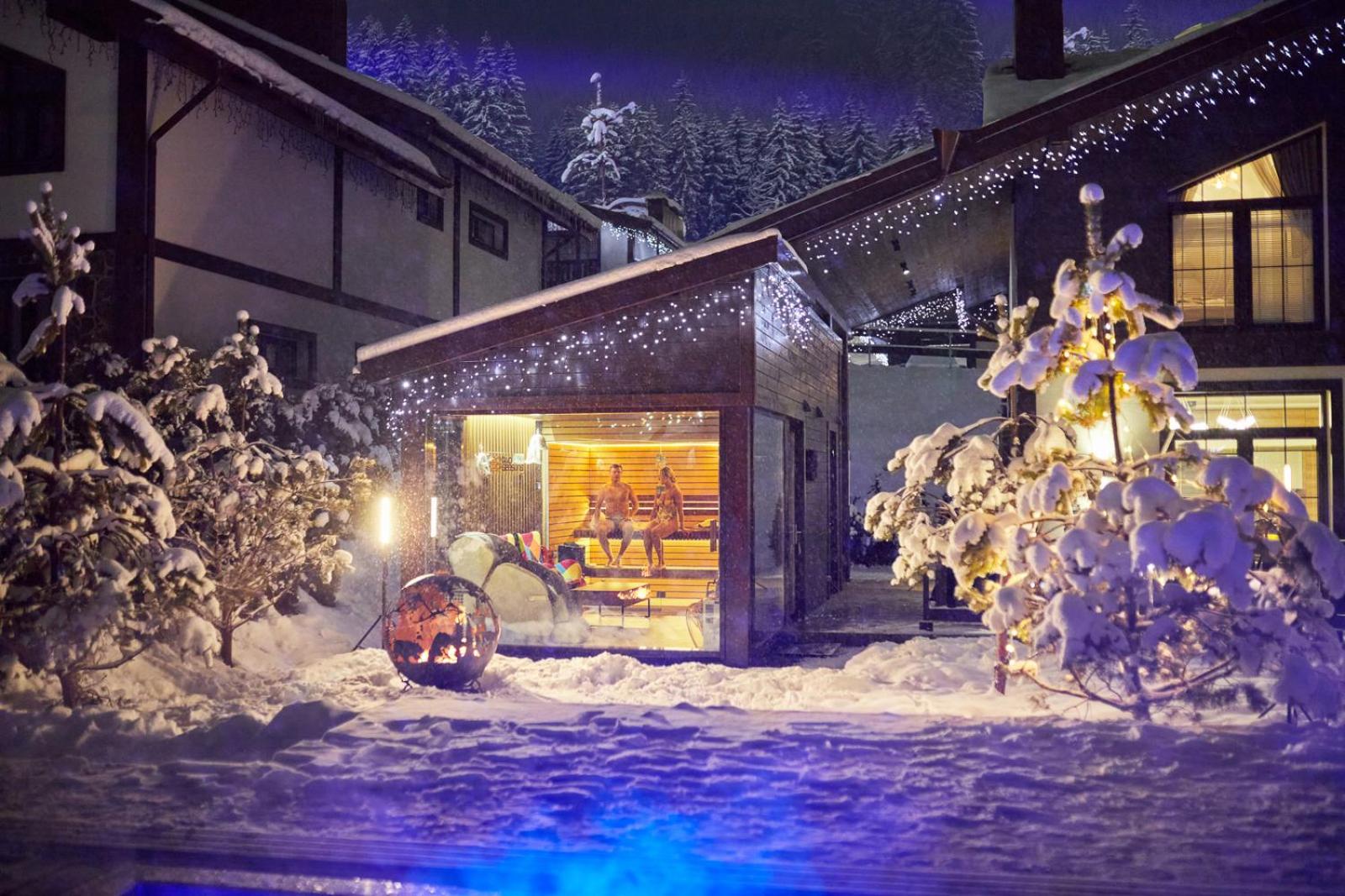Chalet TwoSeasons Bukovel view 4