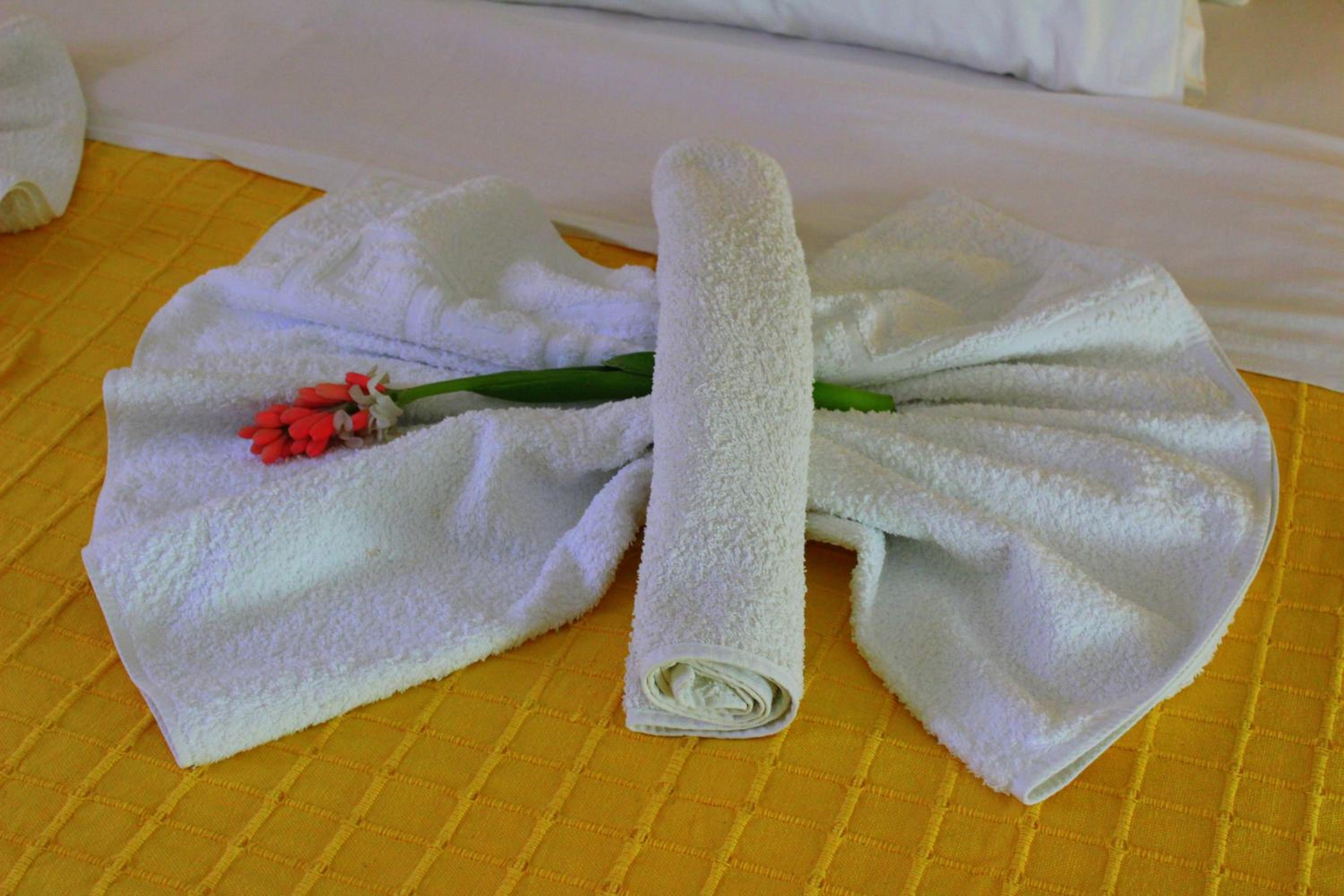 Tzaneria Apartments Skiathos