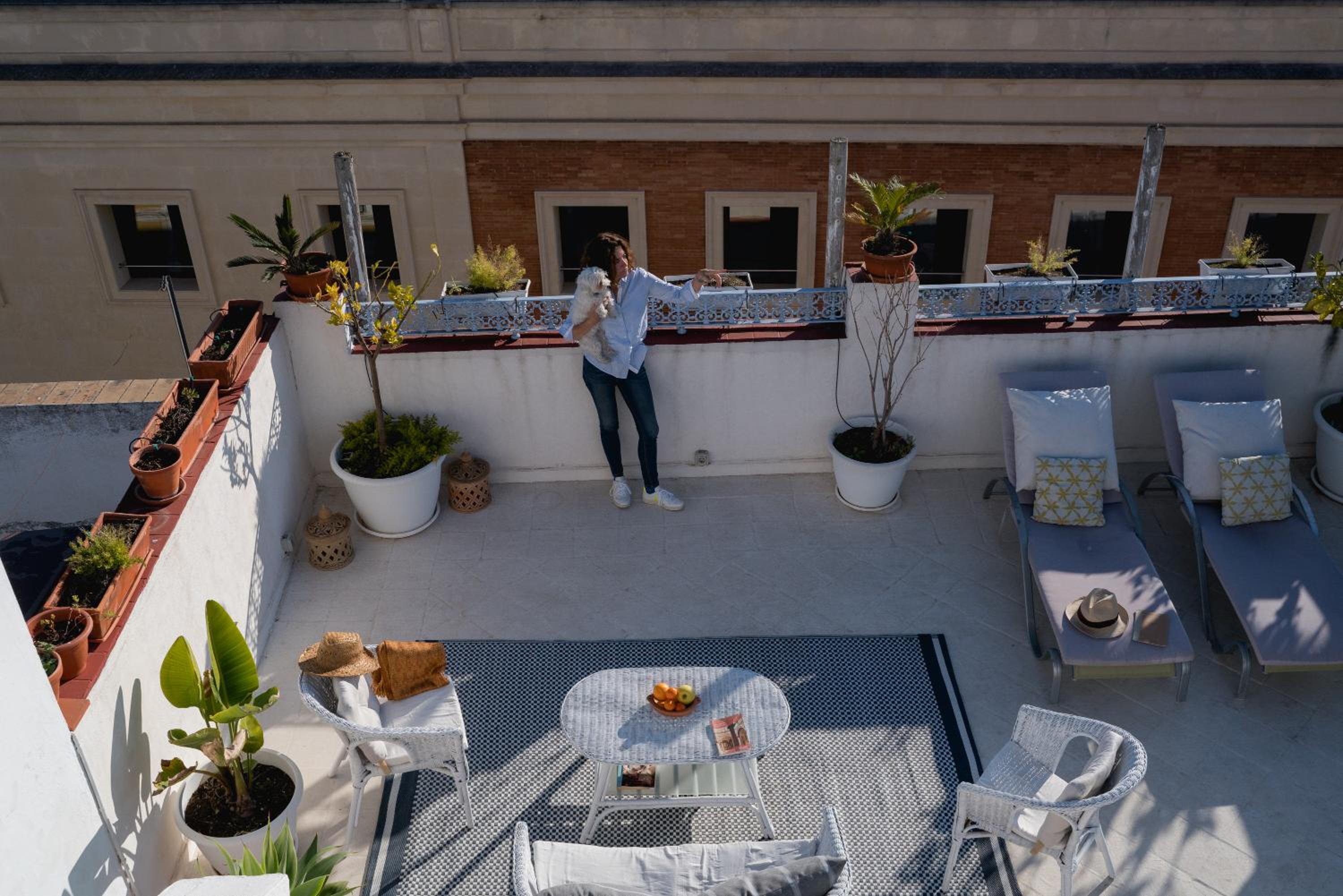 roof