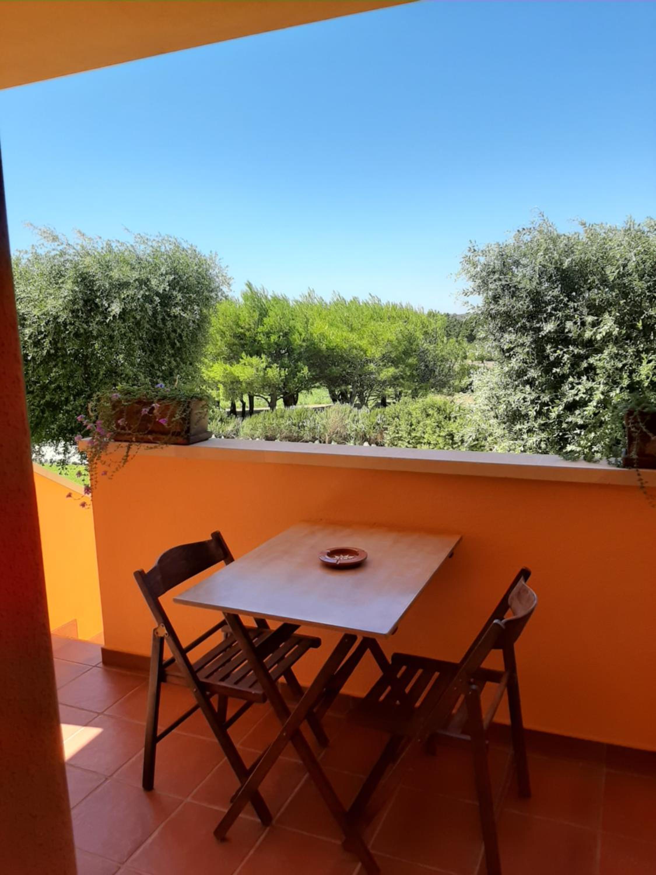Sole del Mediterraneo