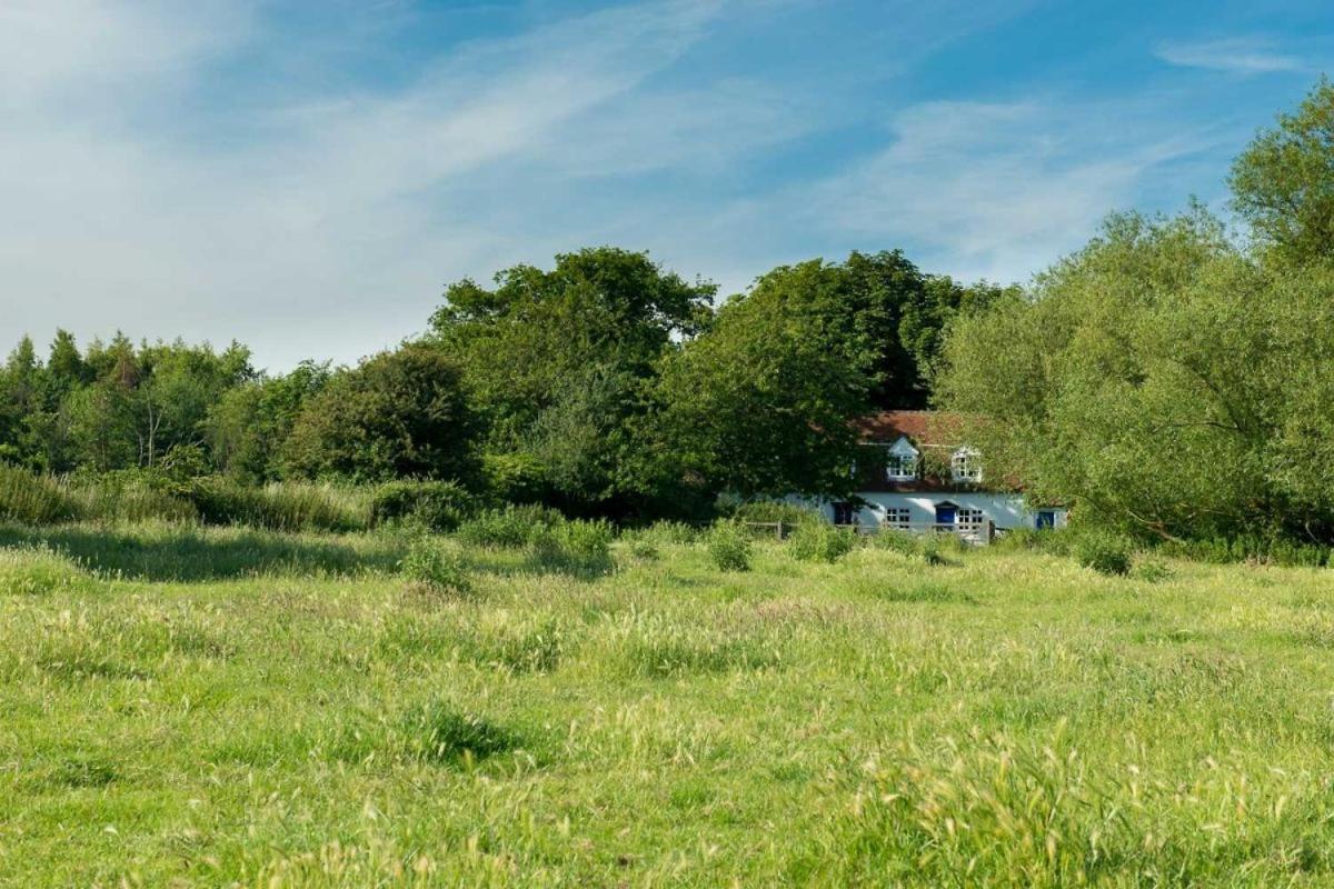 The Wobbin, Remote, Comfort, Sea Views and the beautiful Essex Marshes view 3