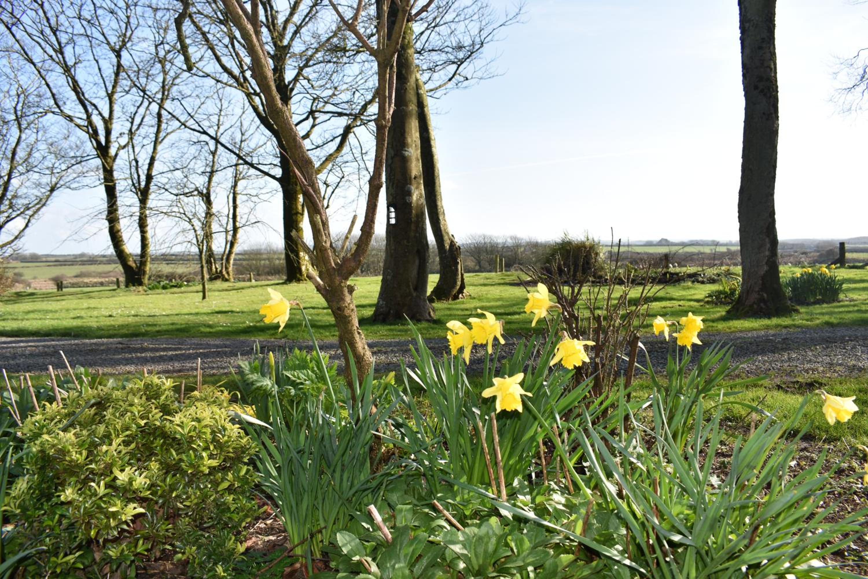 Crug Glas Country House