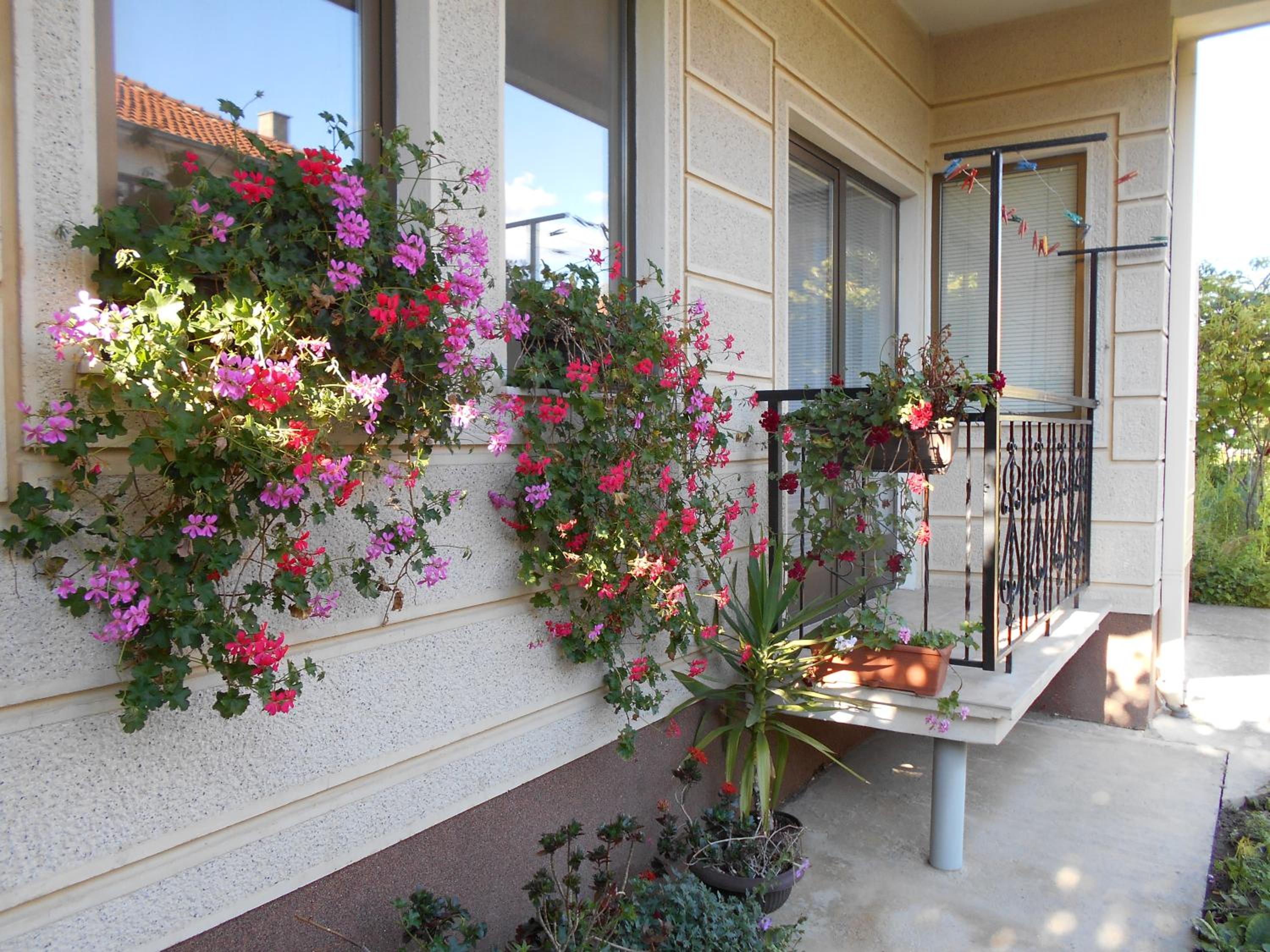 Residence Krstanoski view 3