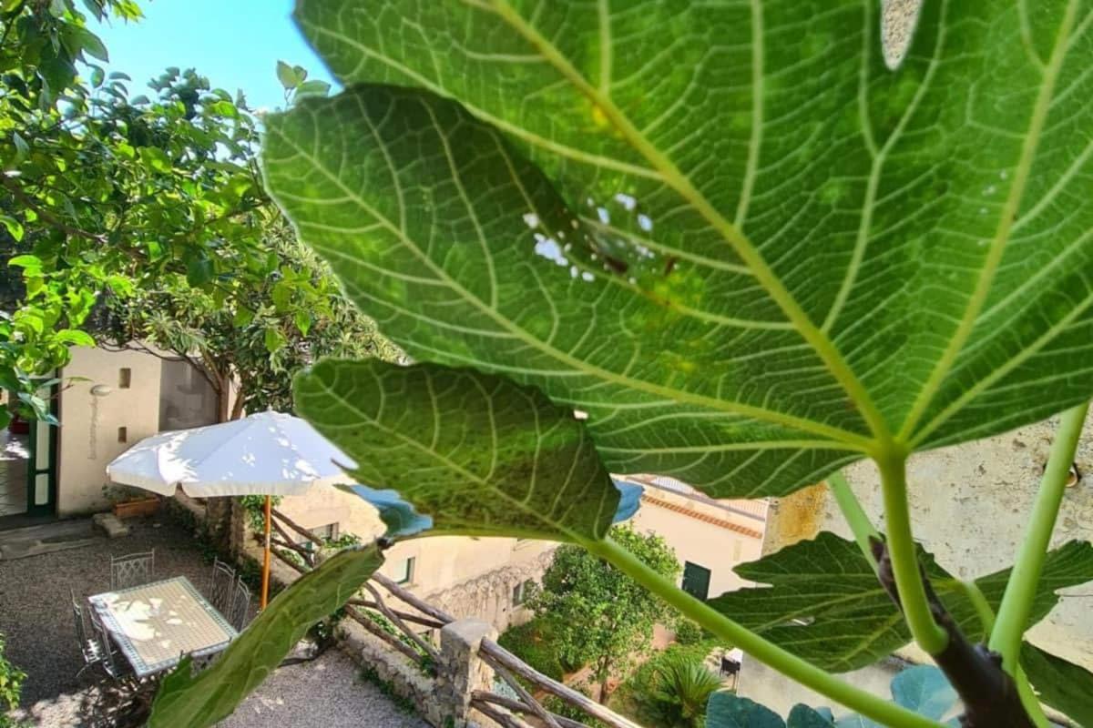 Amalfi Vacations - Loft Apartments by AMALFIVACATION - Property Image 8