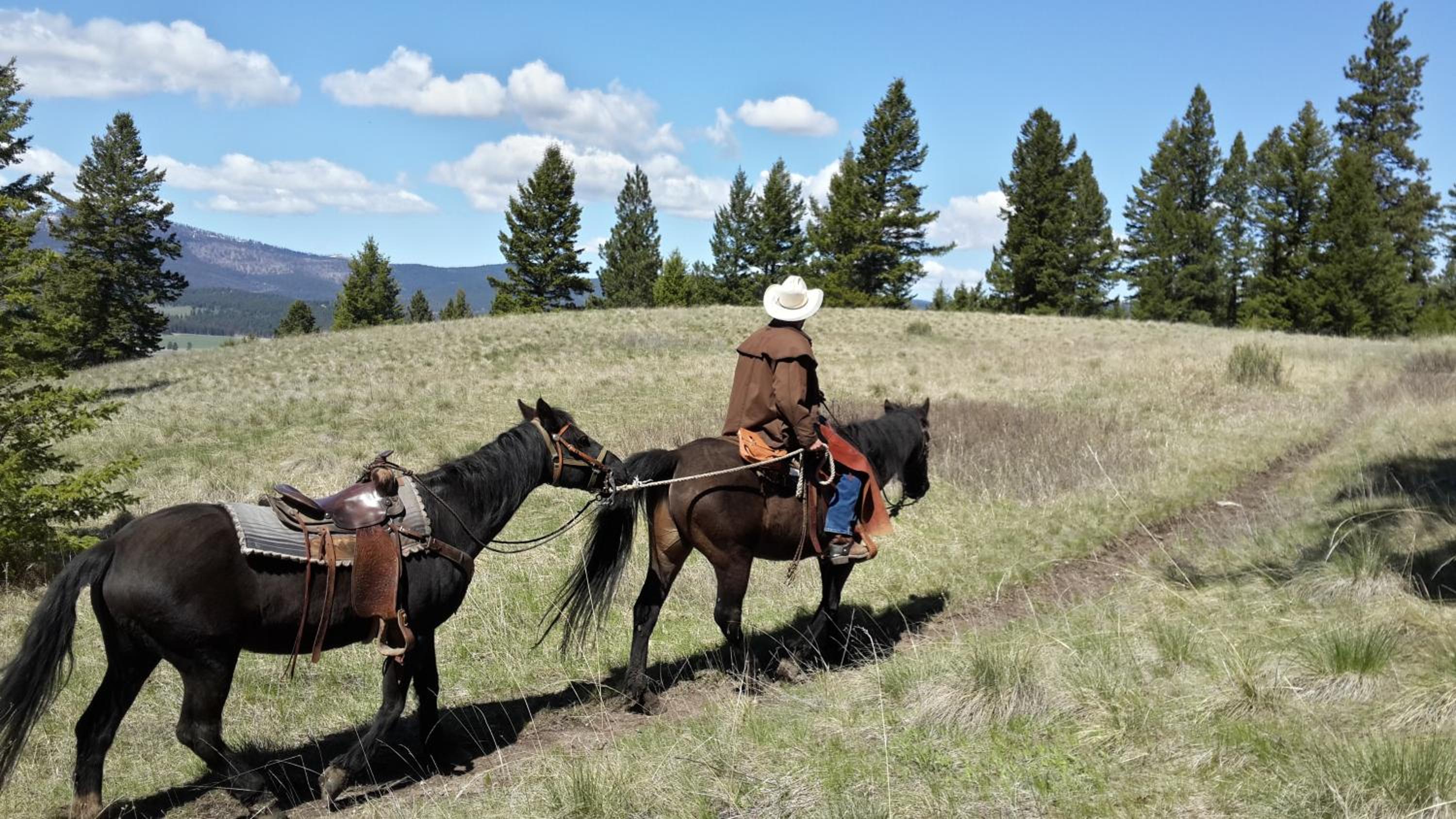 Lonesome Dove Ranch