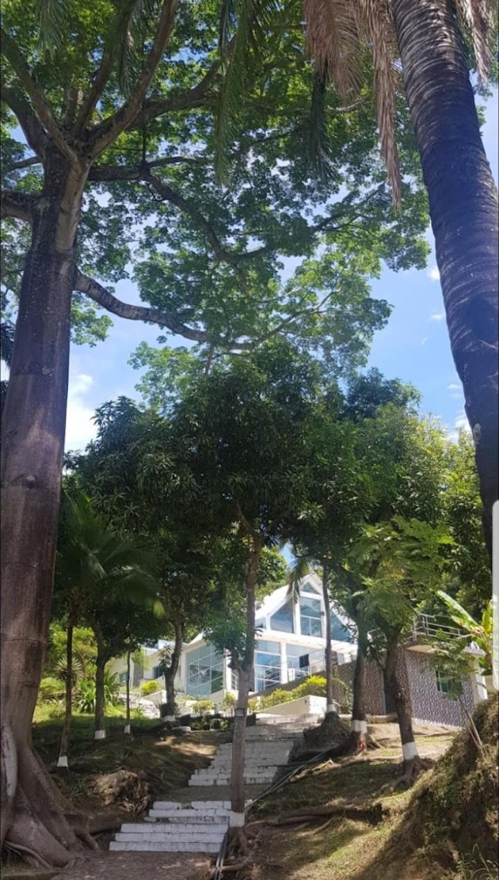 LA FLORESTA ISLA DEL SoL