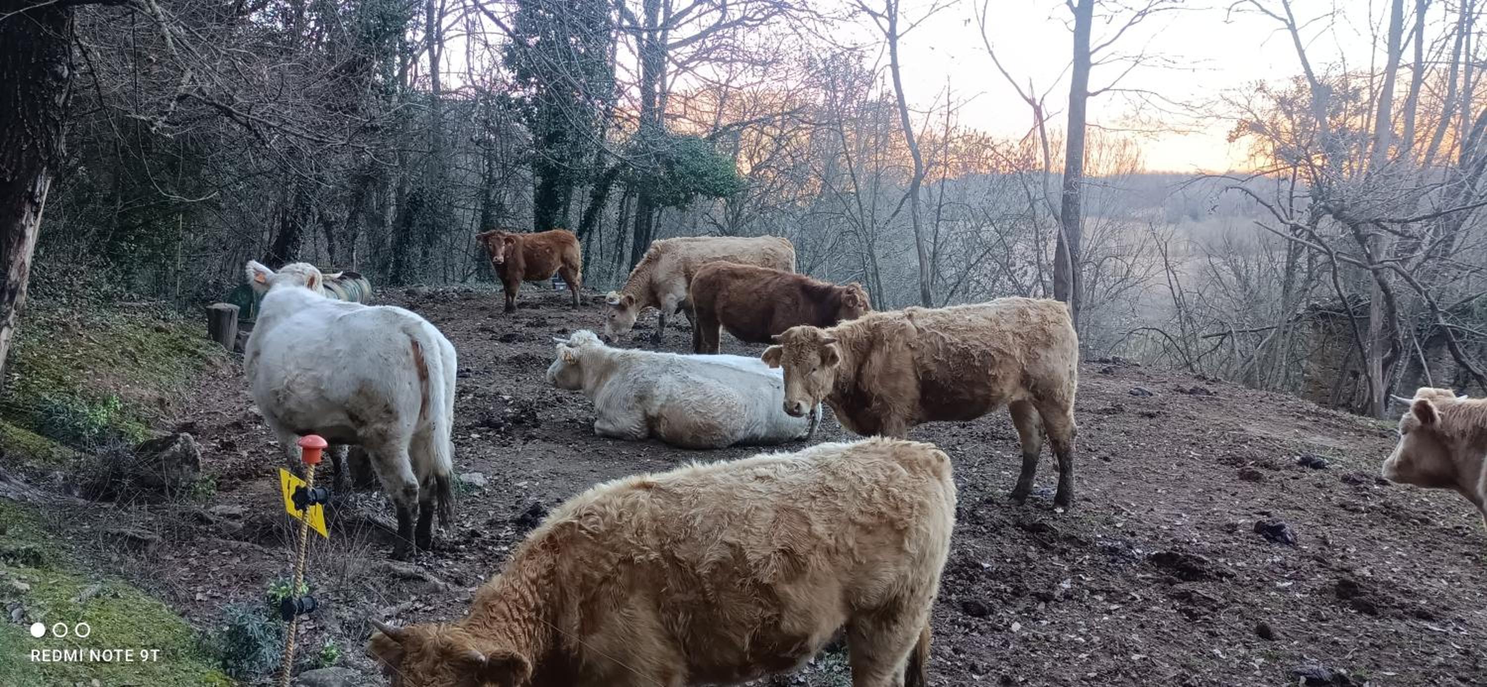 other