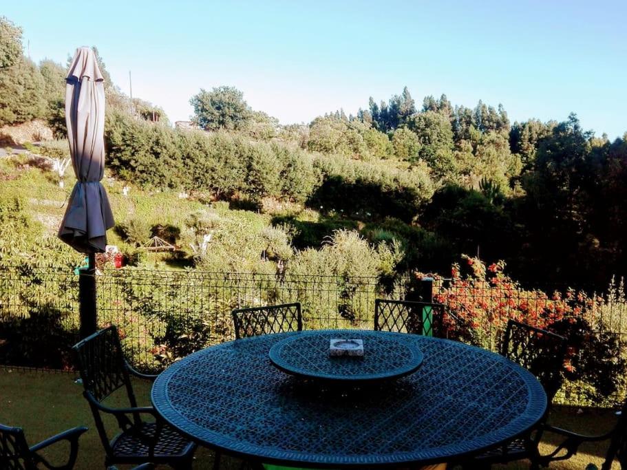 Casa Raiz Ponte de Lima view 4