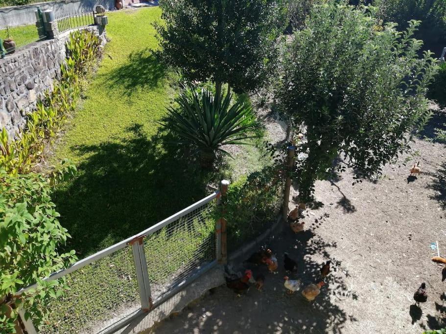Casa Raiz Ponte de Lima view 5