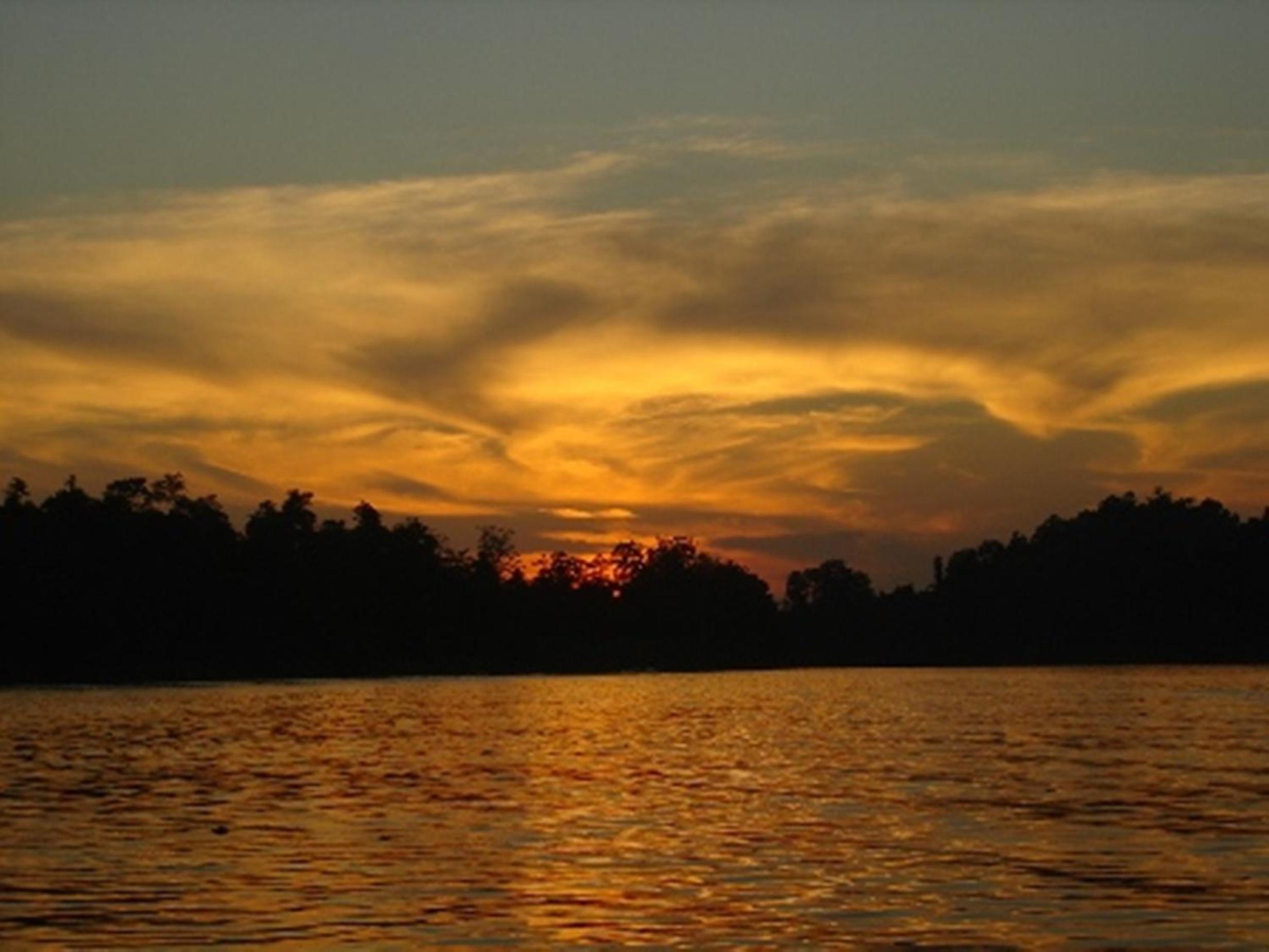 Photo 32