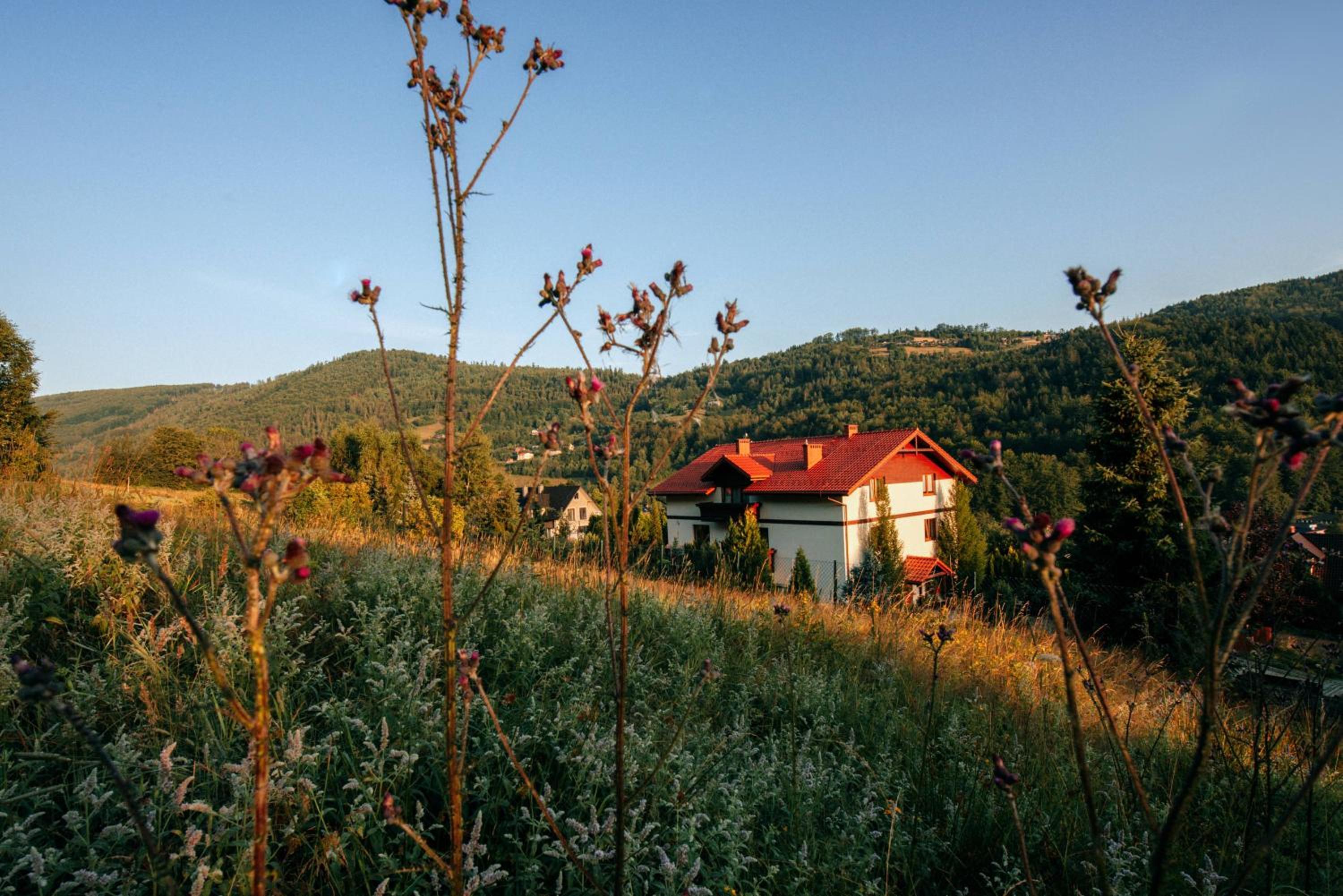 Przystanek Góry, photo 33