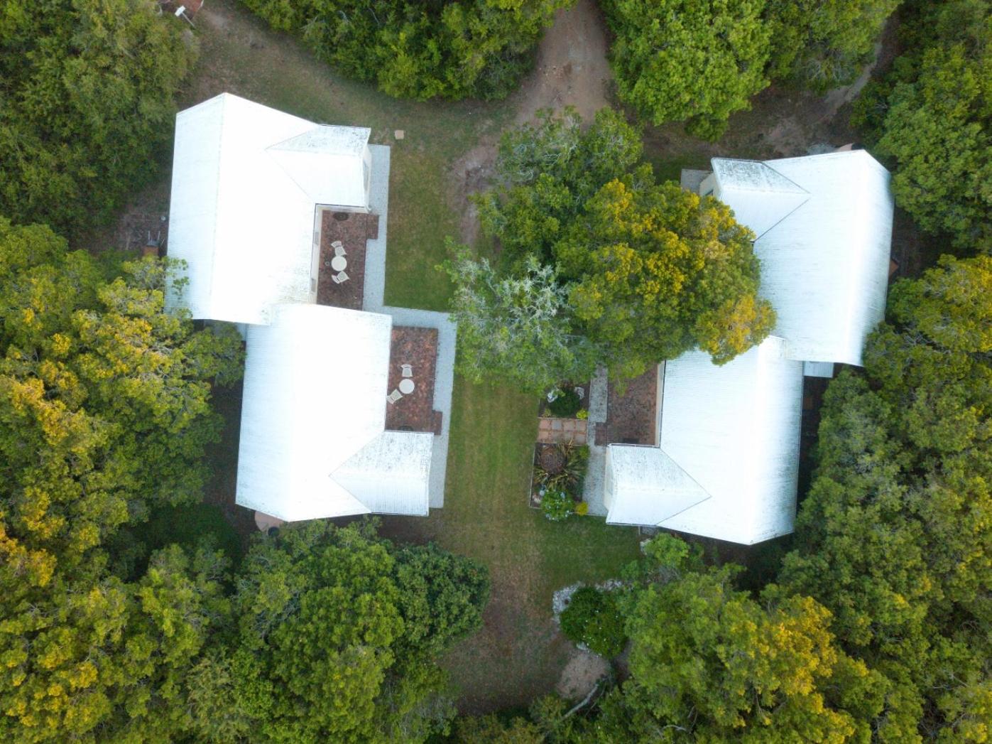 The Plantation