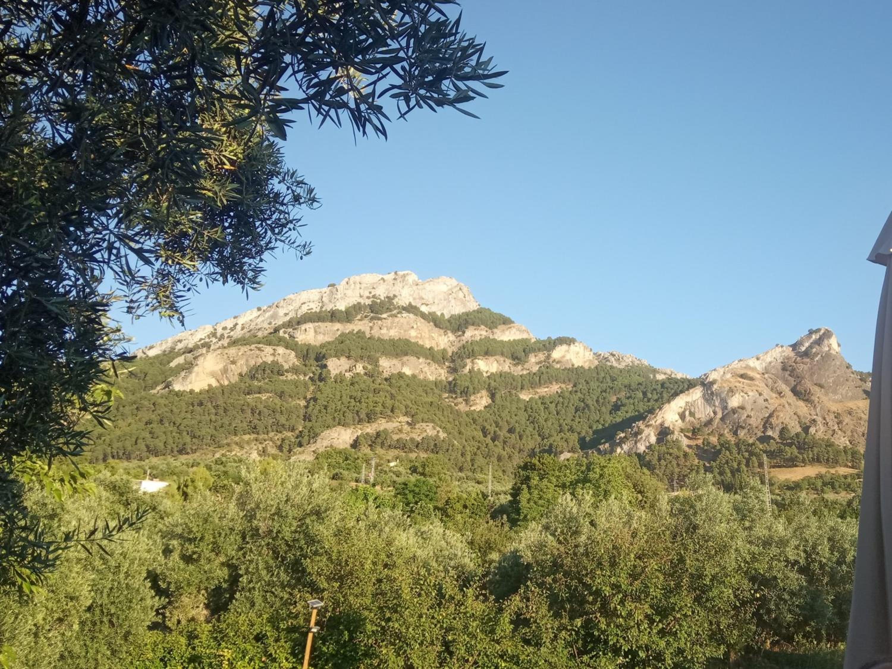 Finca los Prados view 3