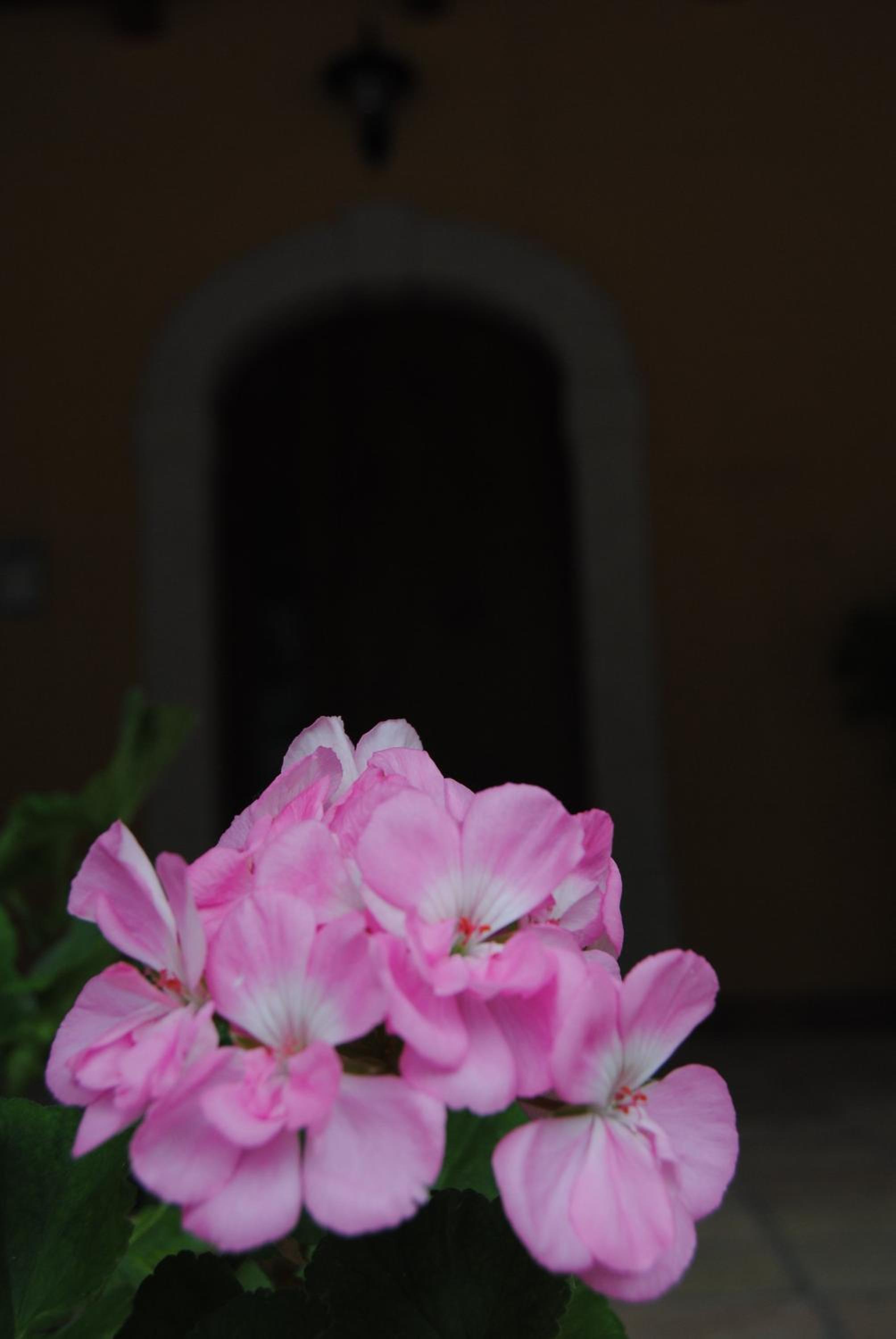 B&B Pascale