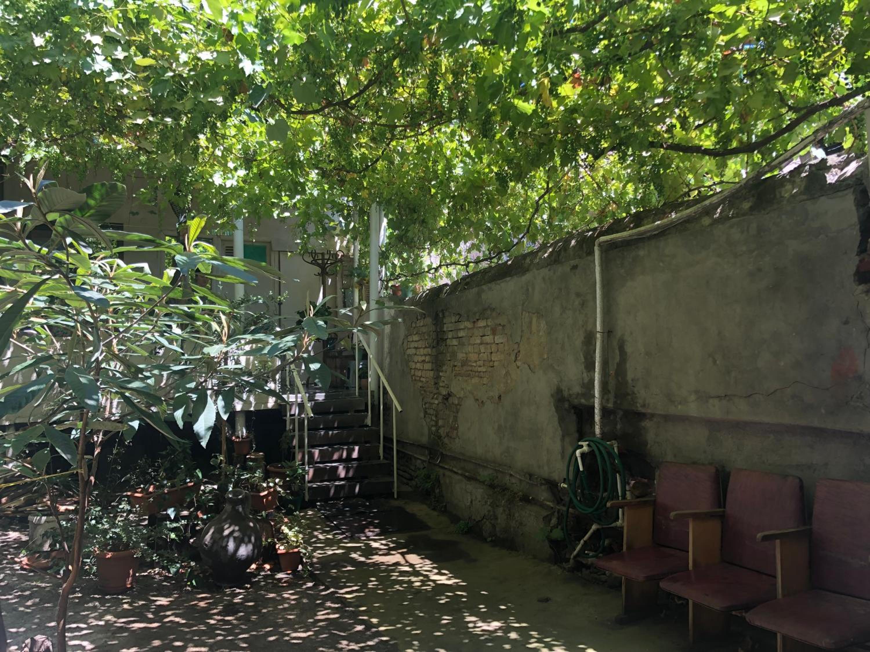 Photo 19
