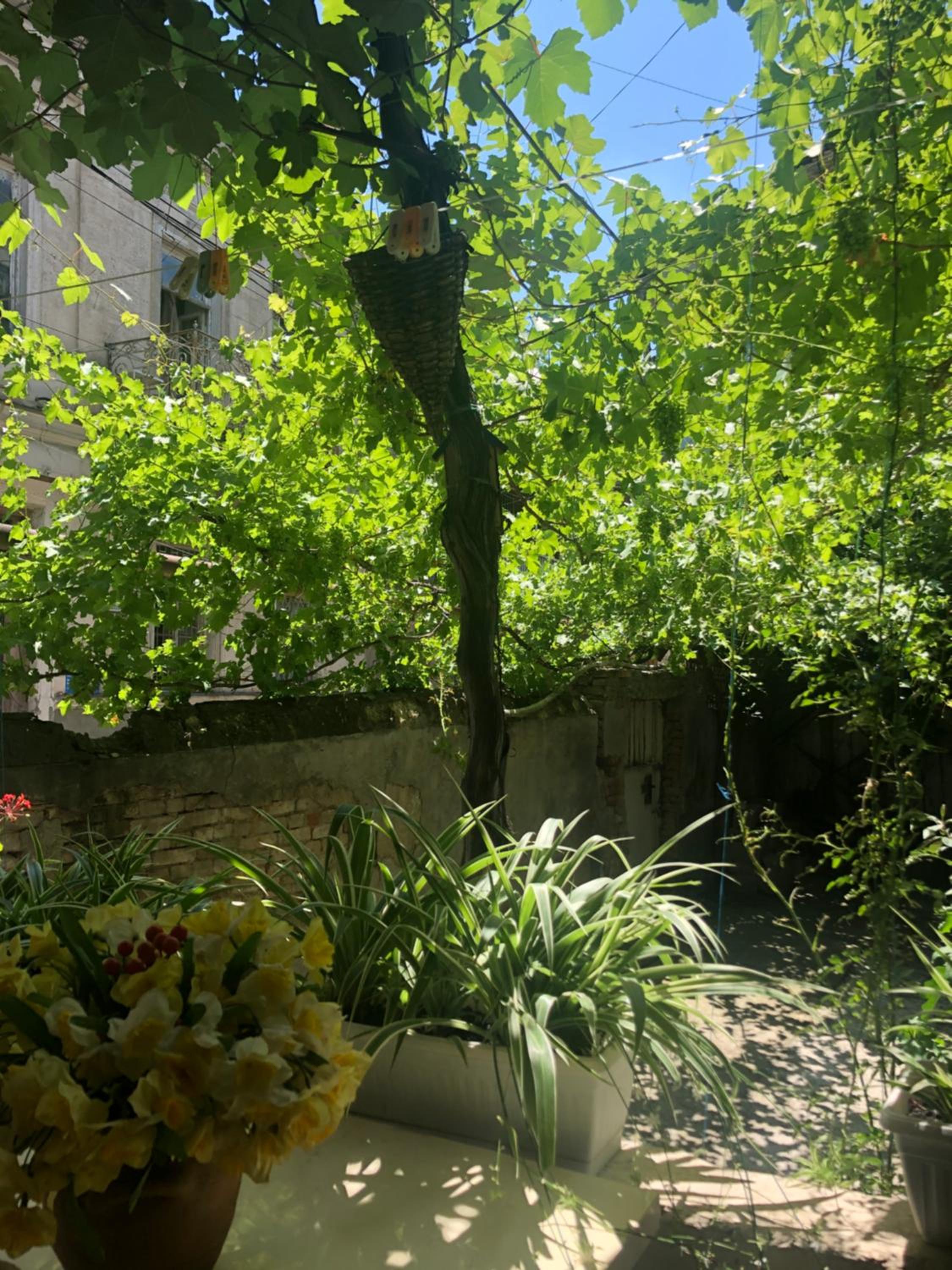 Photo 18