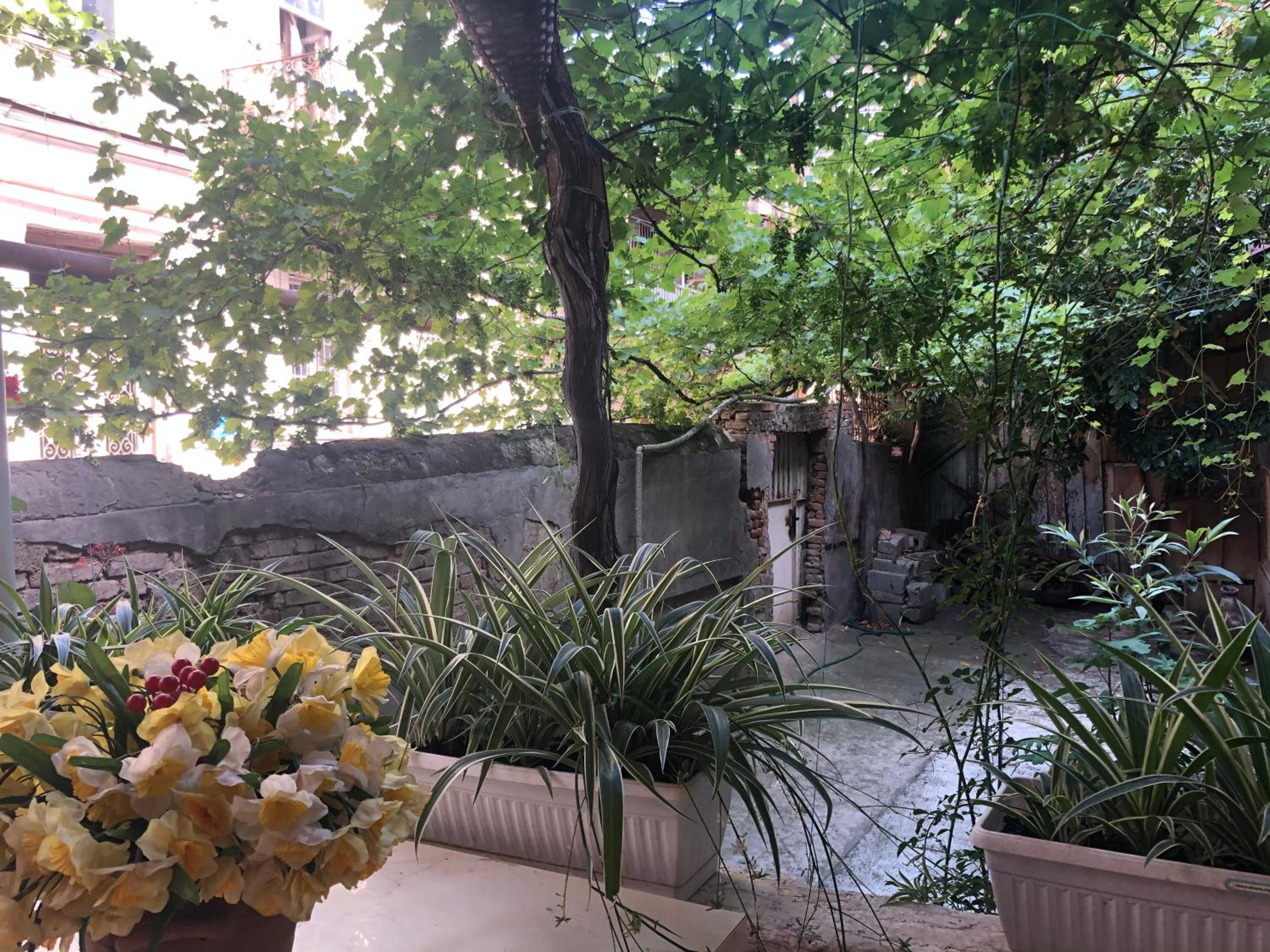 Photo 17