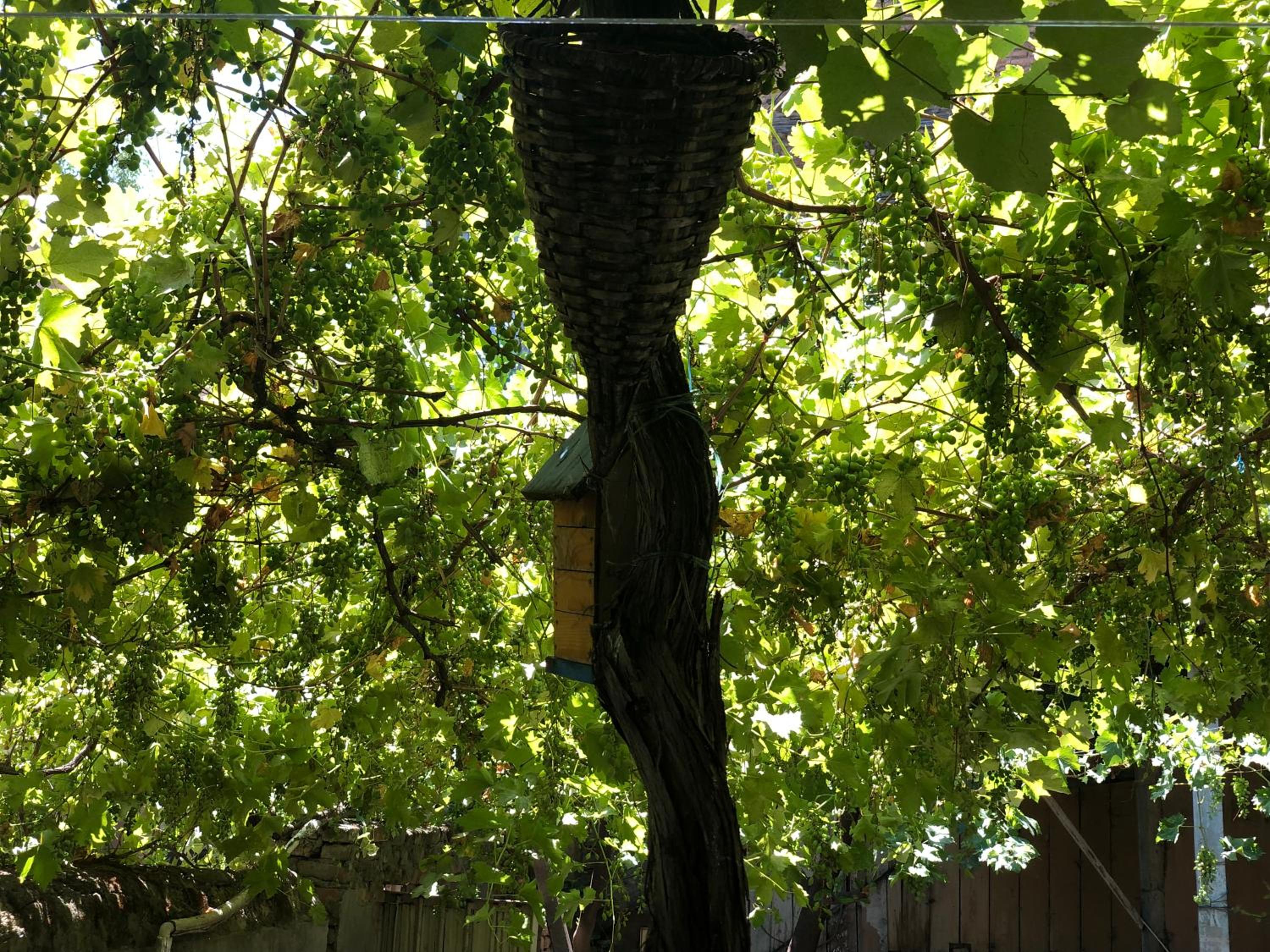 Photo 26