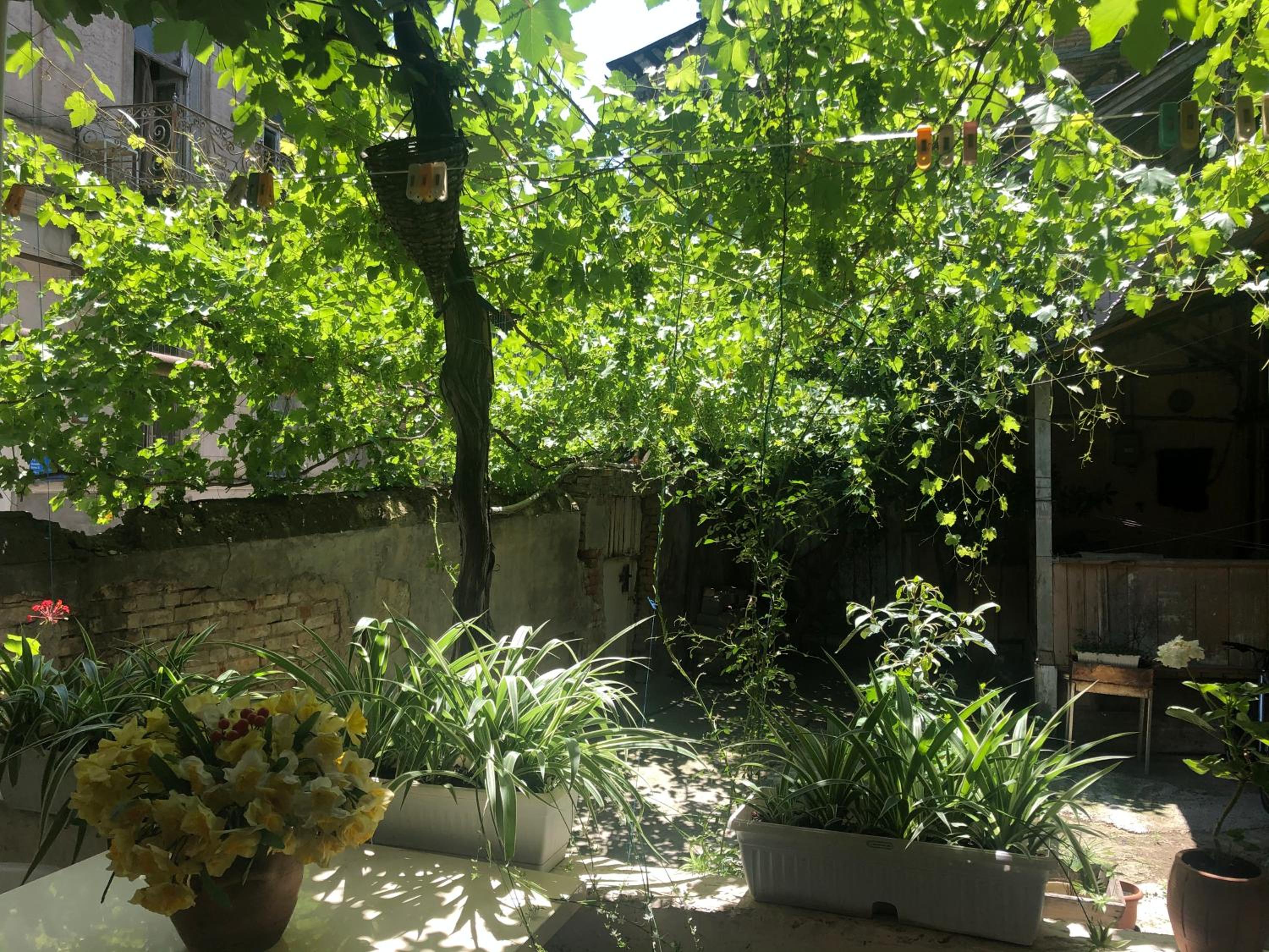 Photo 25