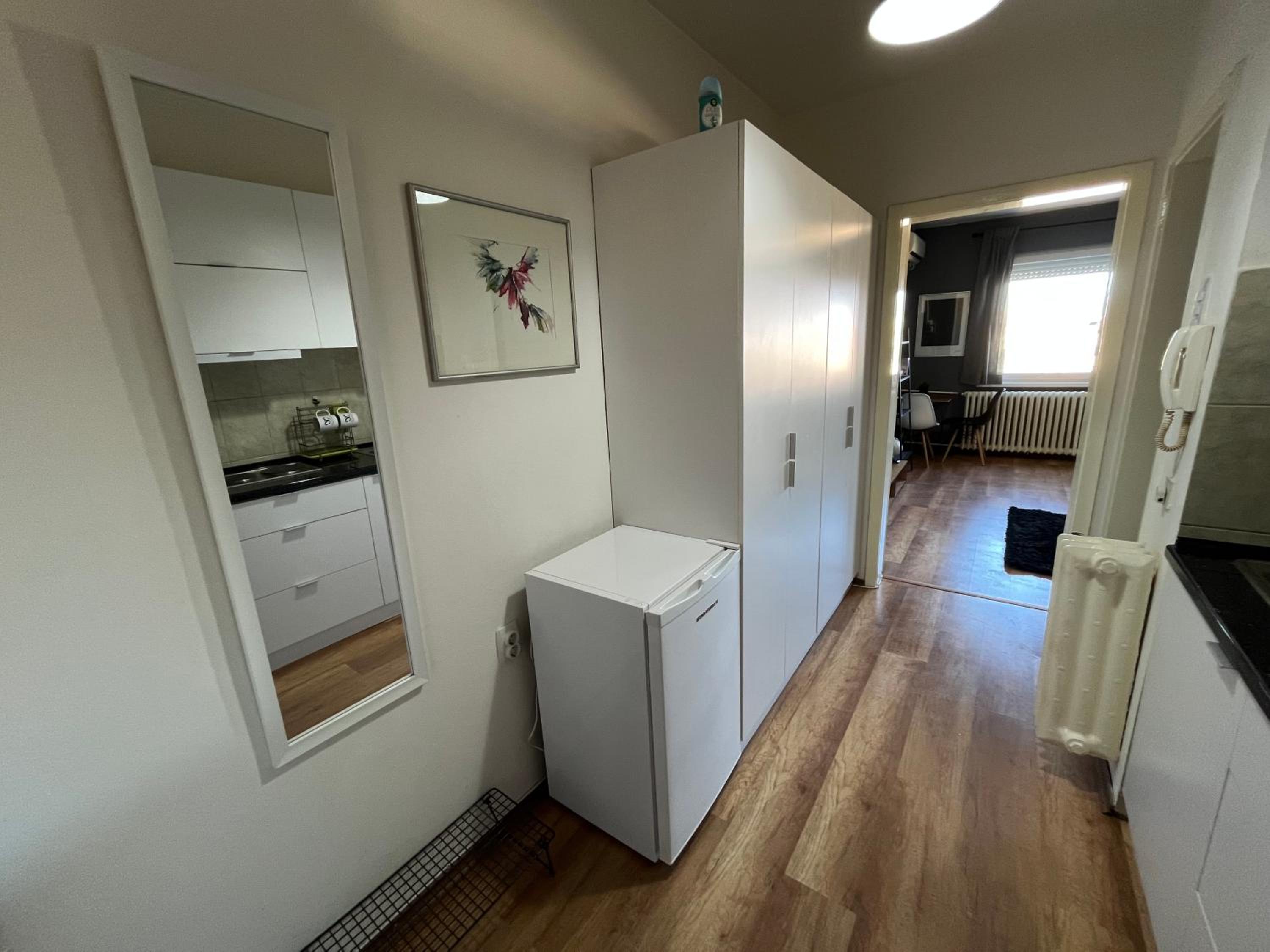 Mickitos City Center Apartment view 4