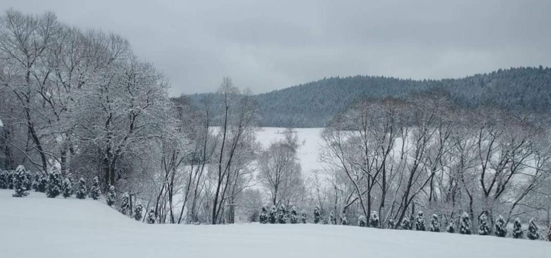 Domek u Weroniki view 4