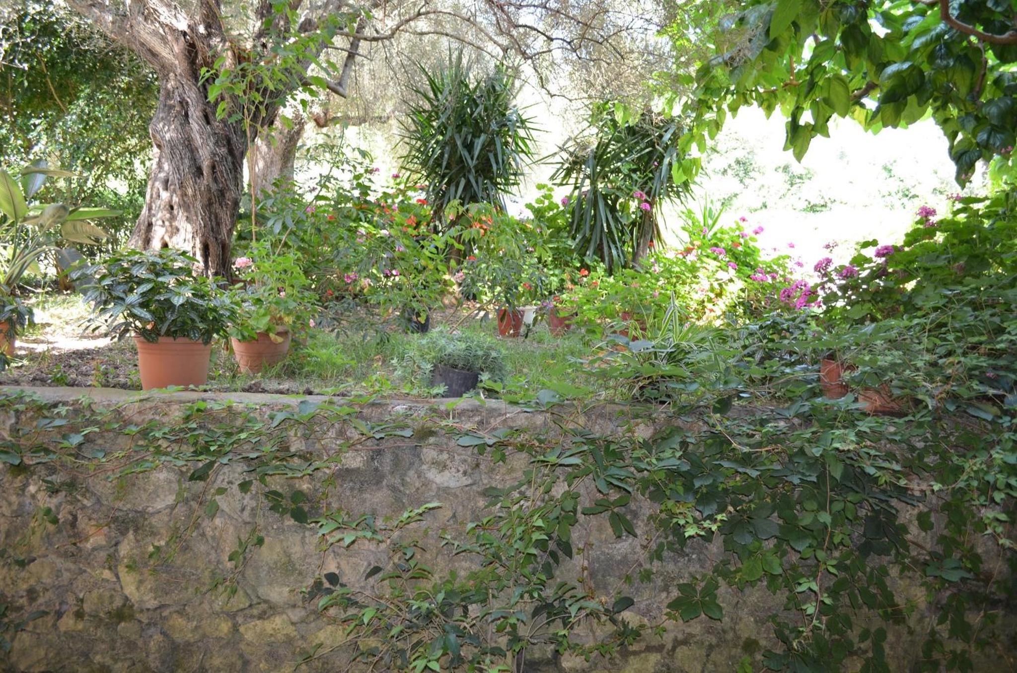 Odysseia Apartments