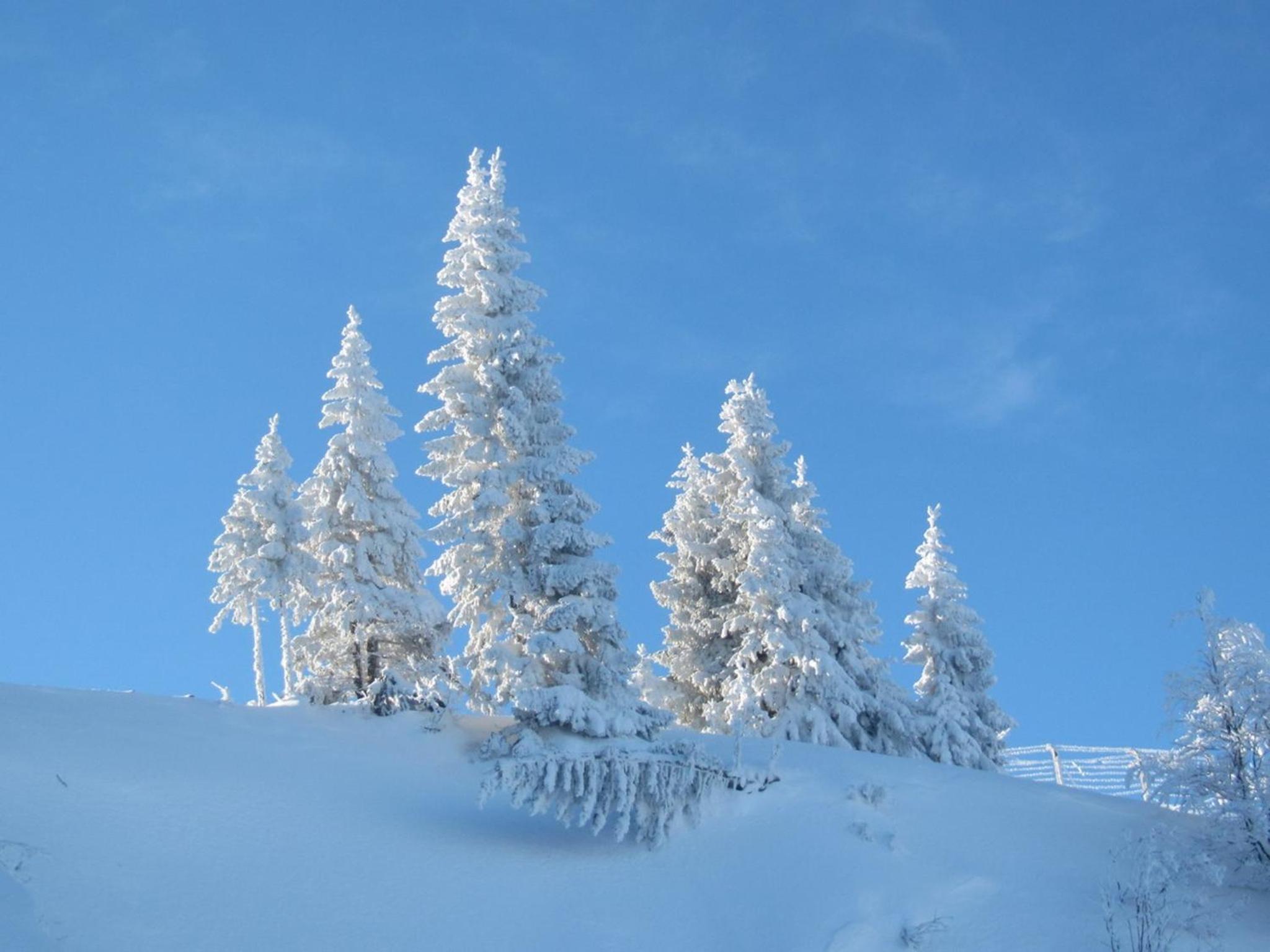 Chalet Jahorinka